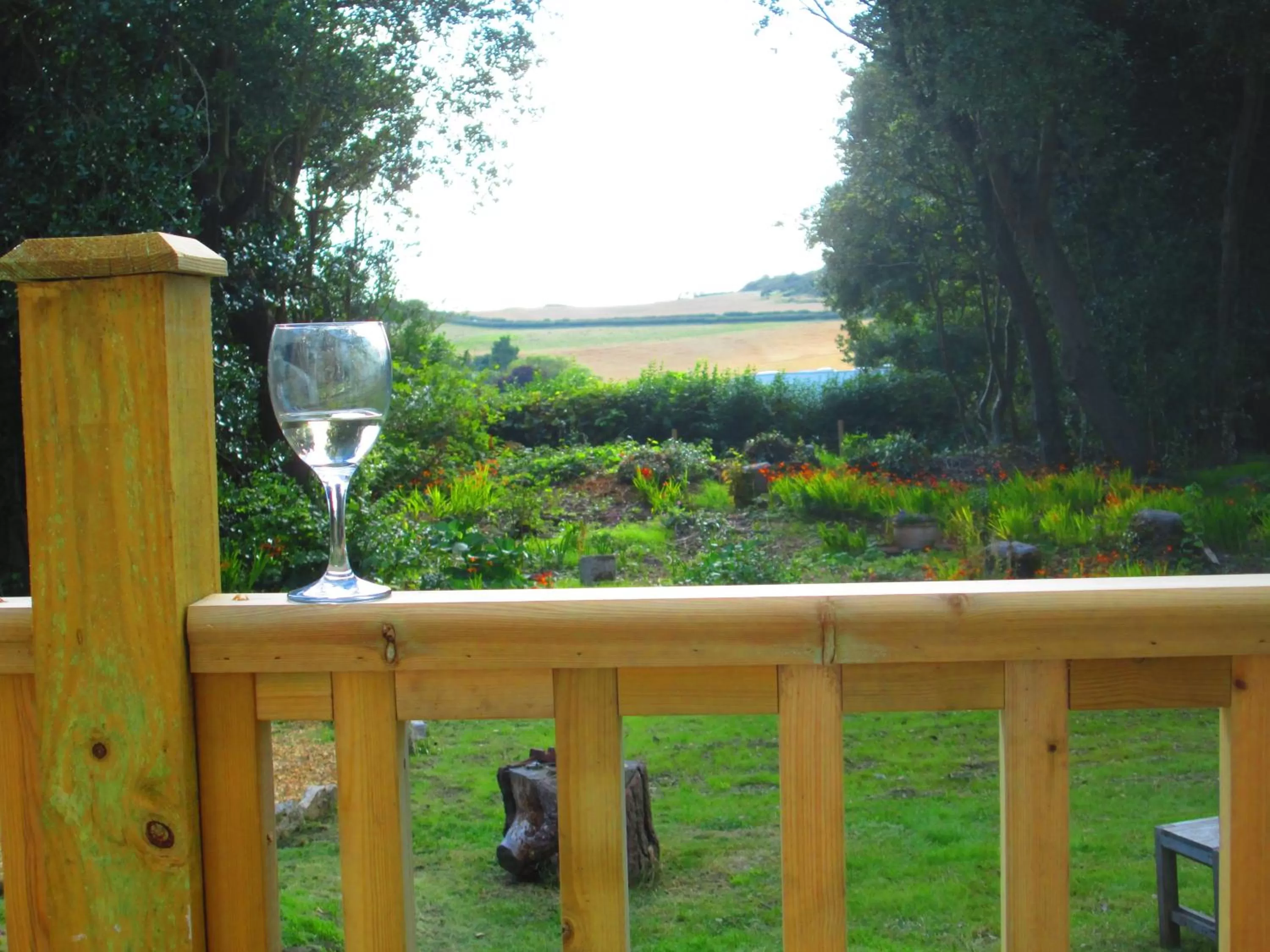 Garden in Weston Manor