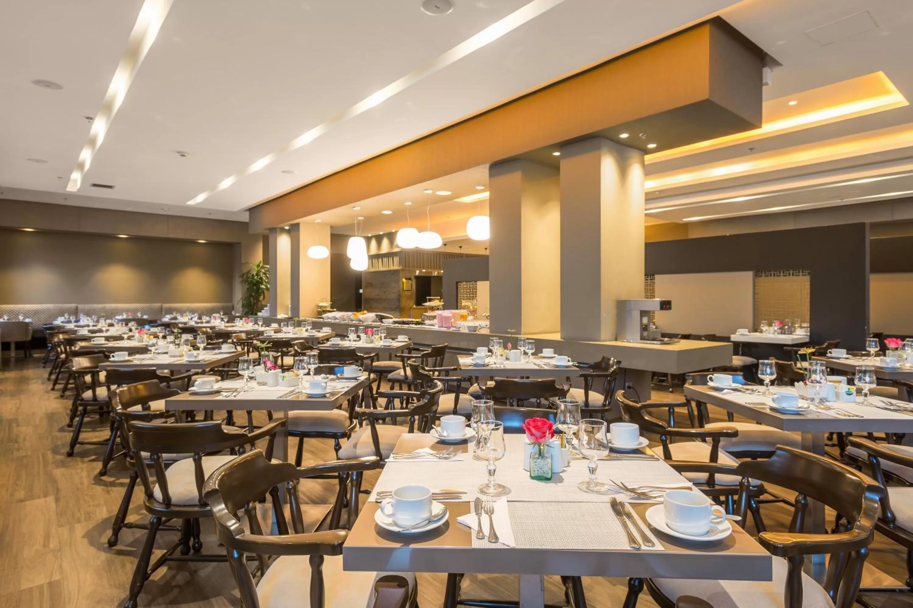 Restaurant/places to eat in Casa Dann Carlton Hotel & SPA