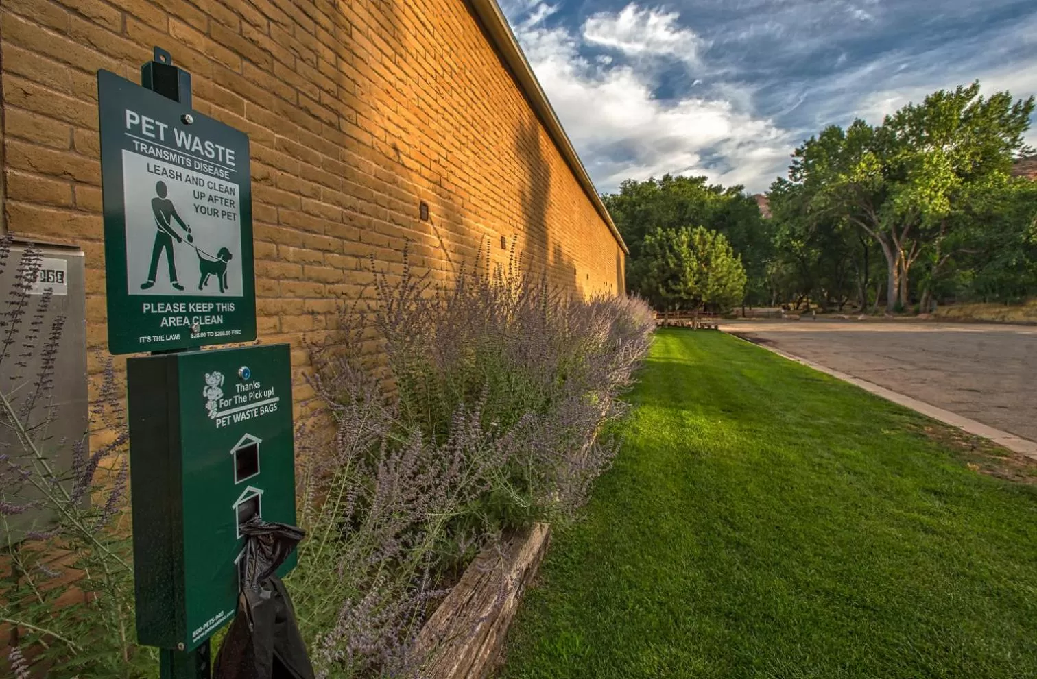 Garden in Rustic Inn