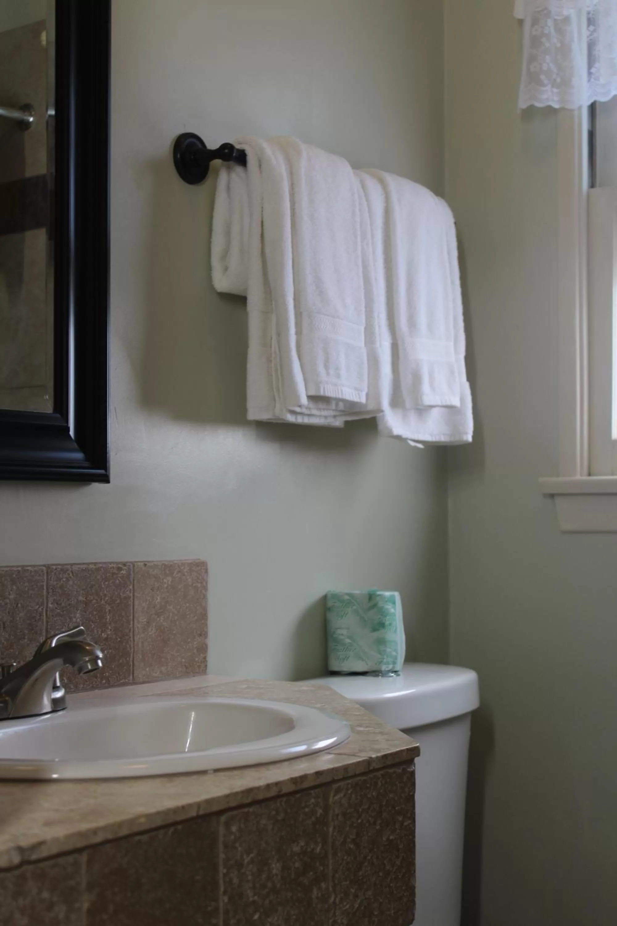 Toilet in Trees Motel