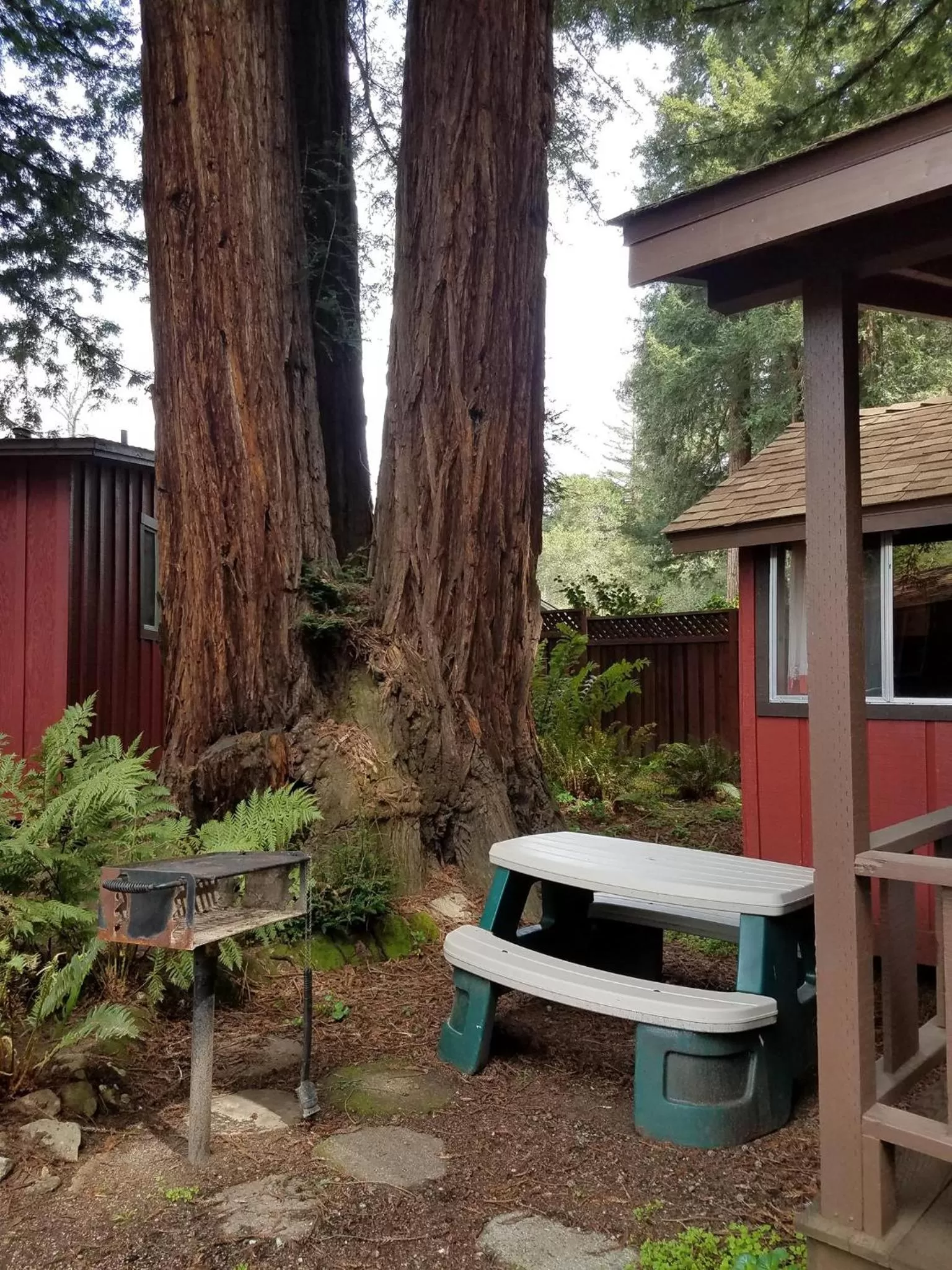 BBQ facilities in Fern River Resort