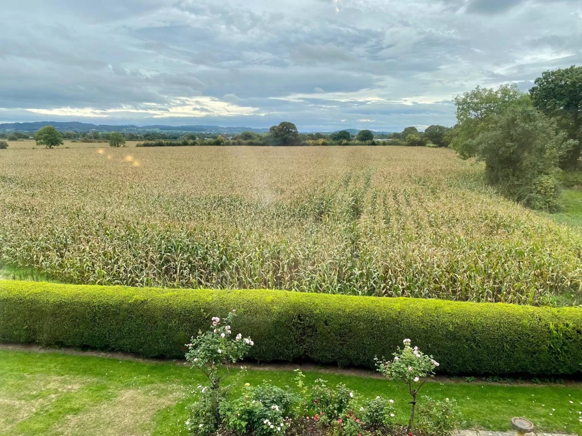Natural landscape in Golborne Manor Bed and Breakfast