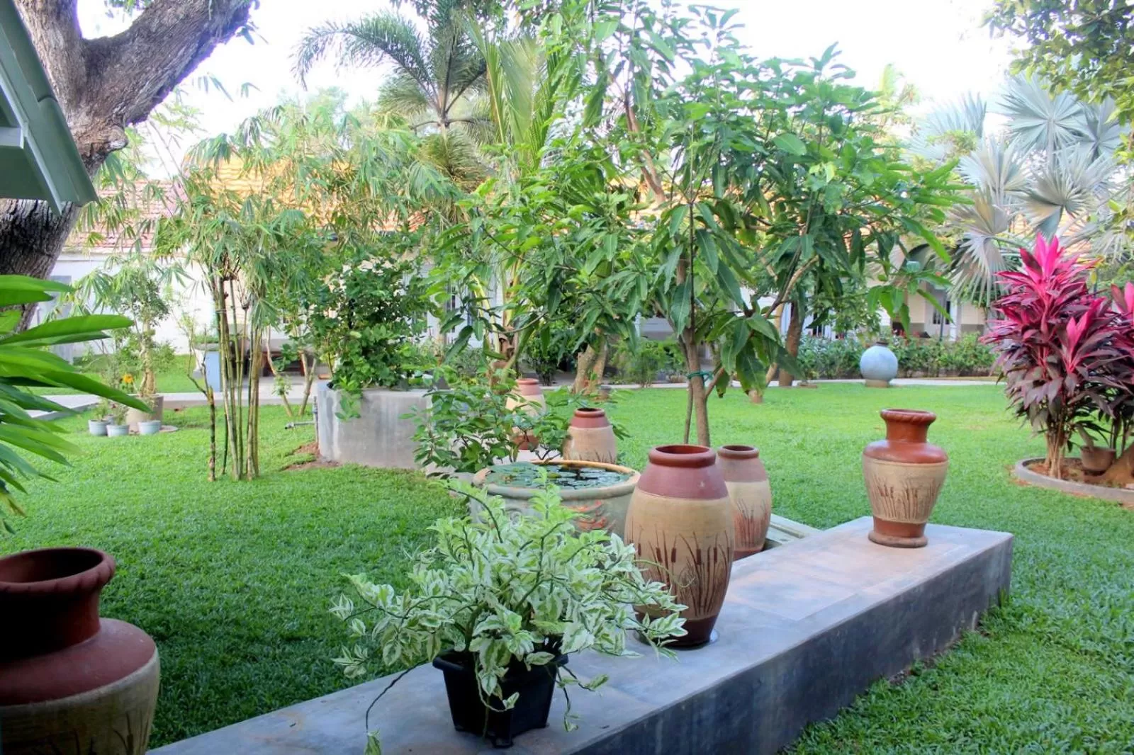 Garden view in Morning Star Resorts