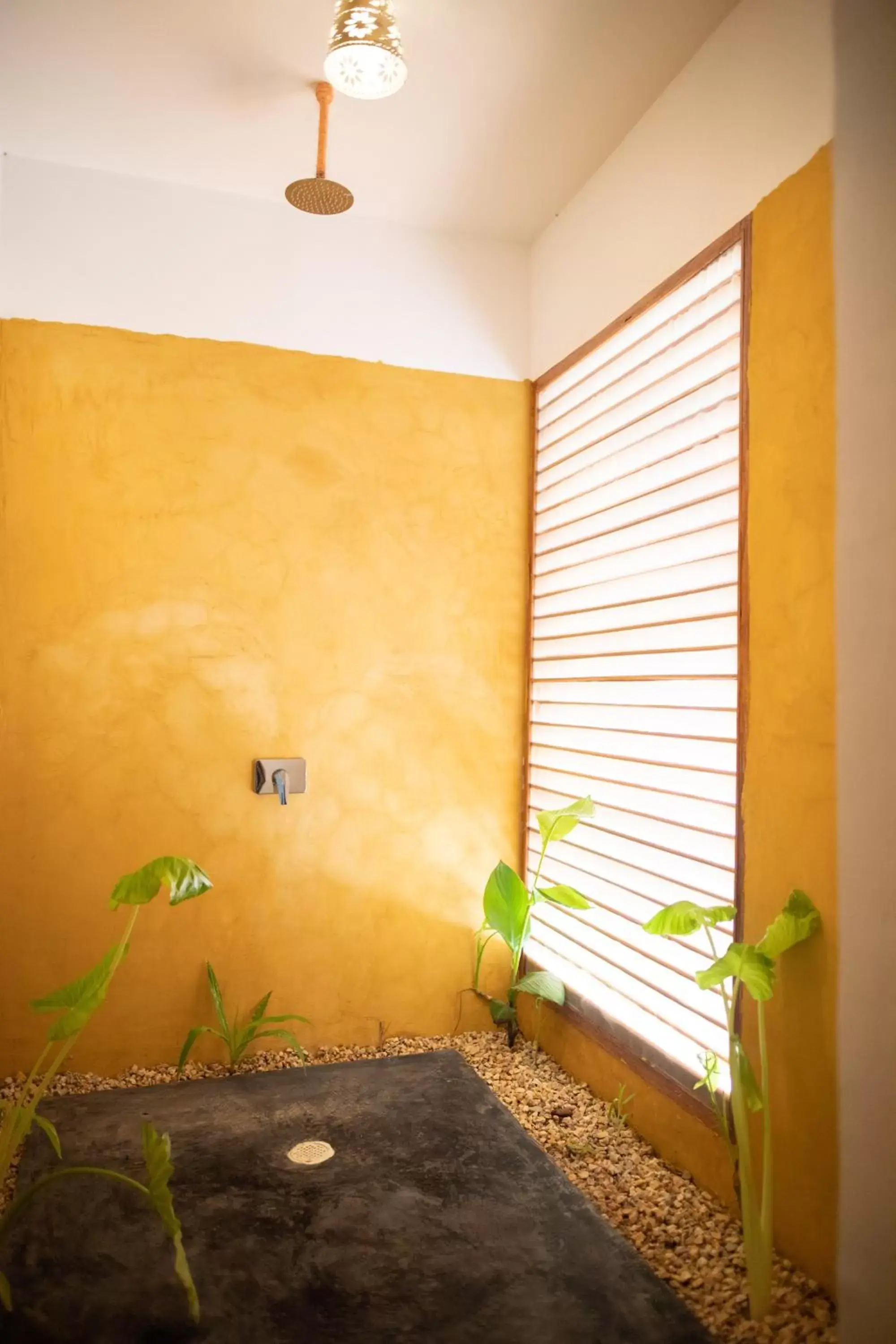 Double or Twin Room with Pool View - single occupancy in Maisha Nungwi - Boutique Hotel Double or Twin Room with Pool View - single occupancy in Maisha Nungwi - Boutique Hotel