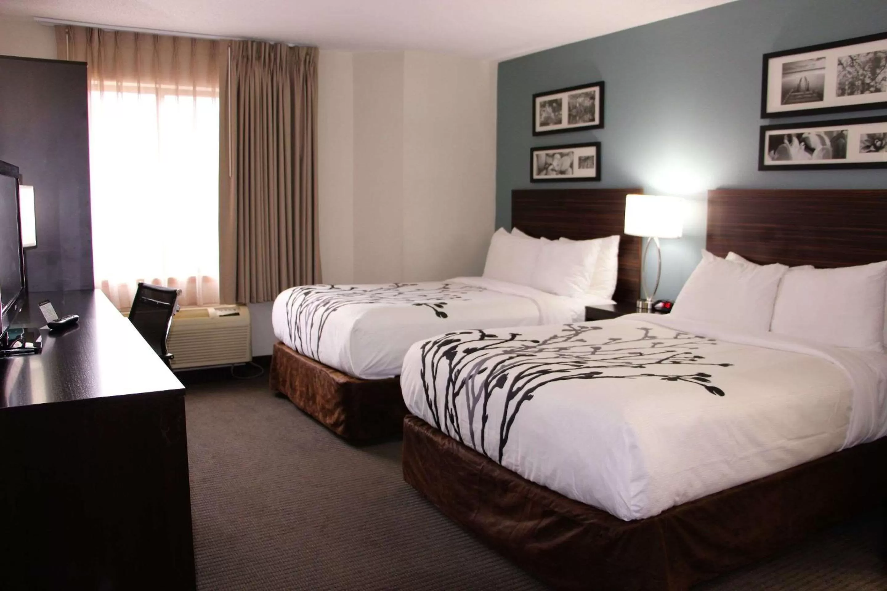 Photo of the whole room, Bed in Sleep Inn Chattanooga Hamilton Place