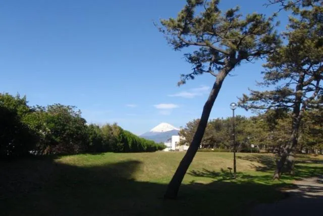 Minato Oasis Numazu / 沼津観光の中心、伊豆観光の拠点に好立地！沼津港に位置し交通・飲食・コンビニ等至便です！