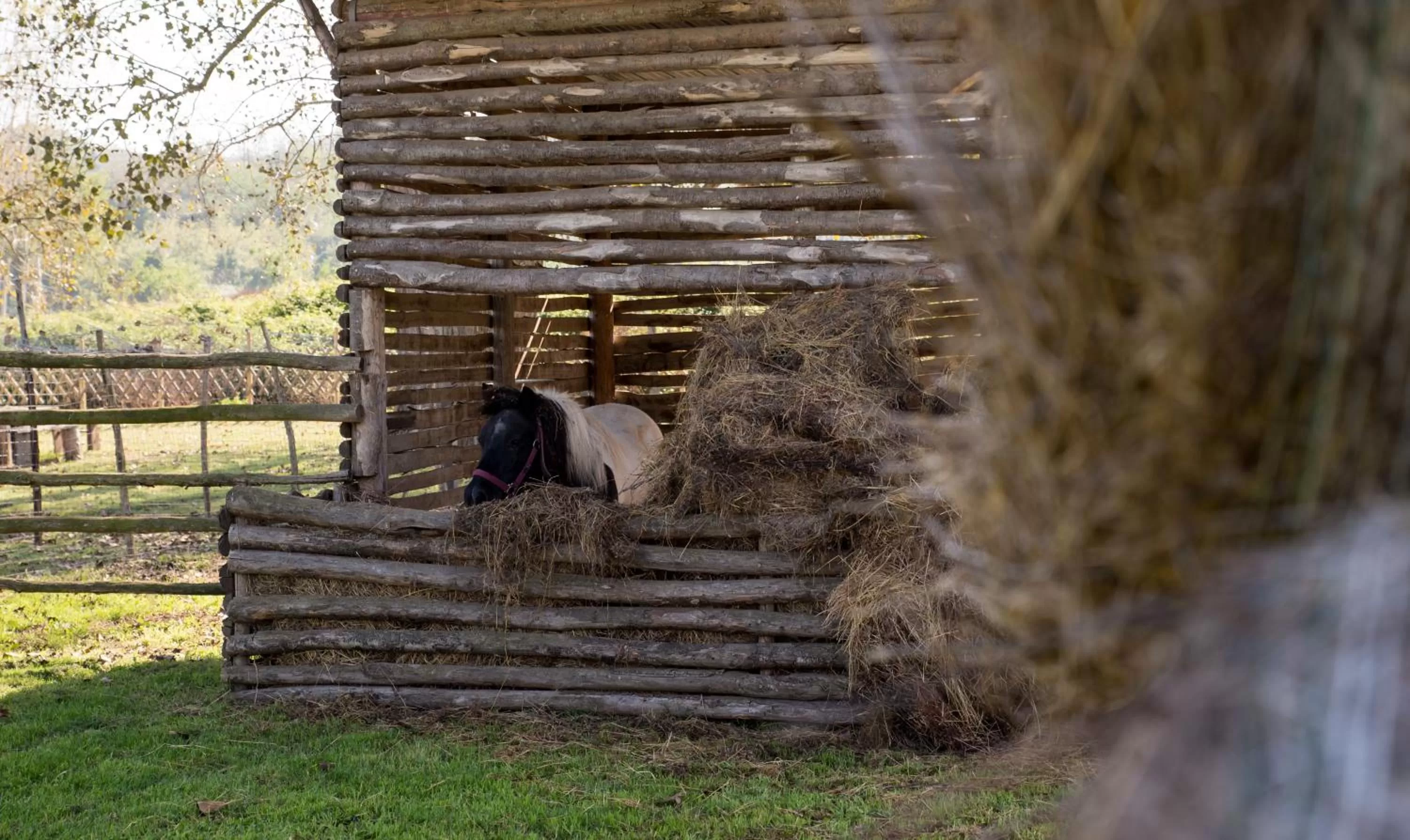 Country House Nonno Andrea