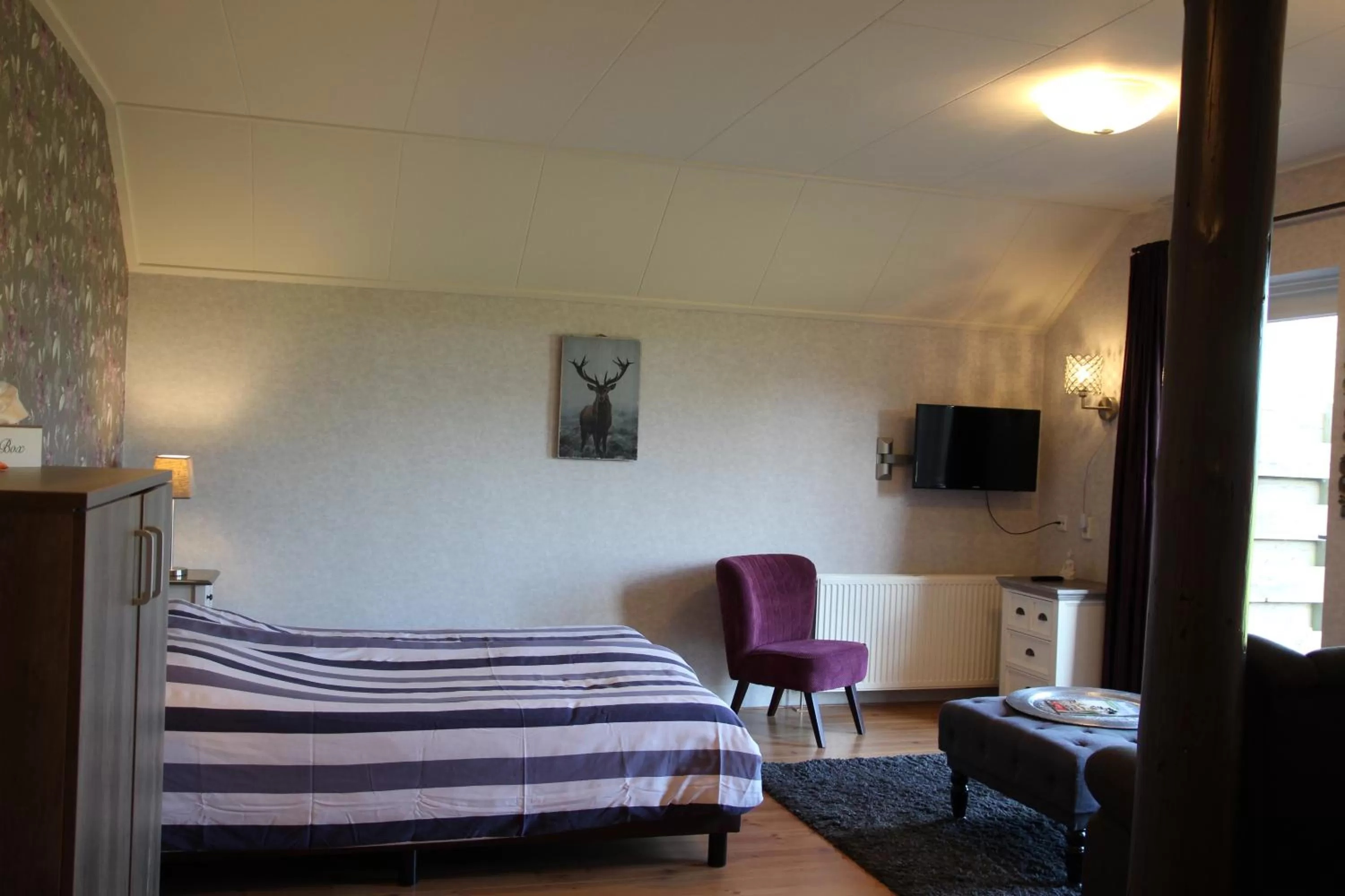 TV and multimedia, Bed in 't Rond Bargie