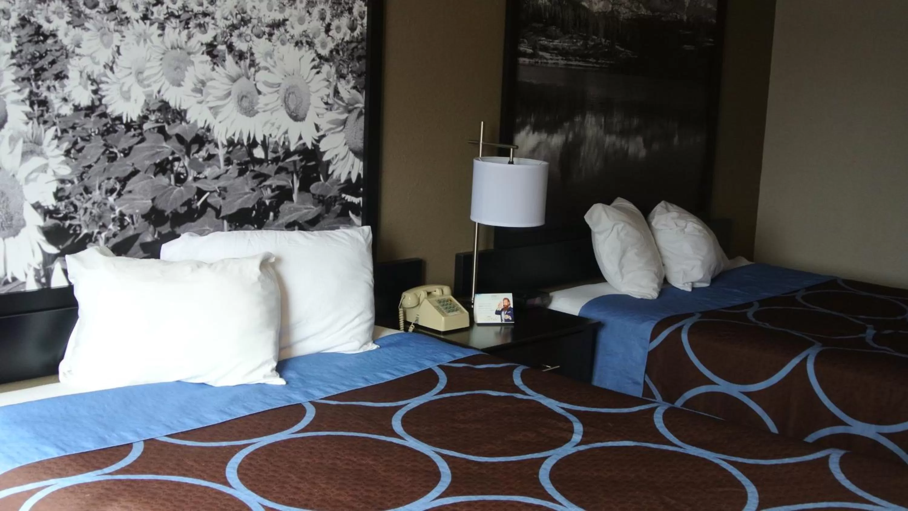 Bed in Super 8 by Wyndham Cortez/Mesa Verde Area