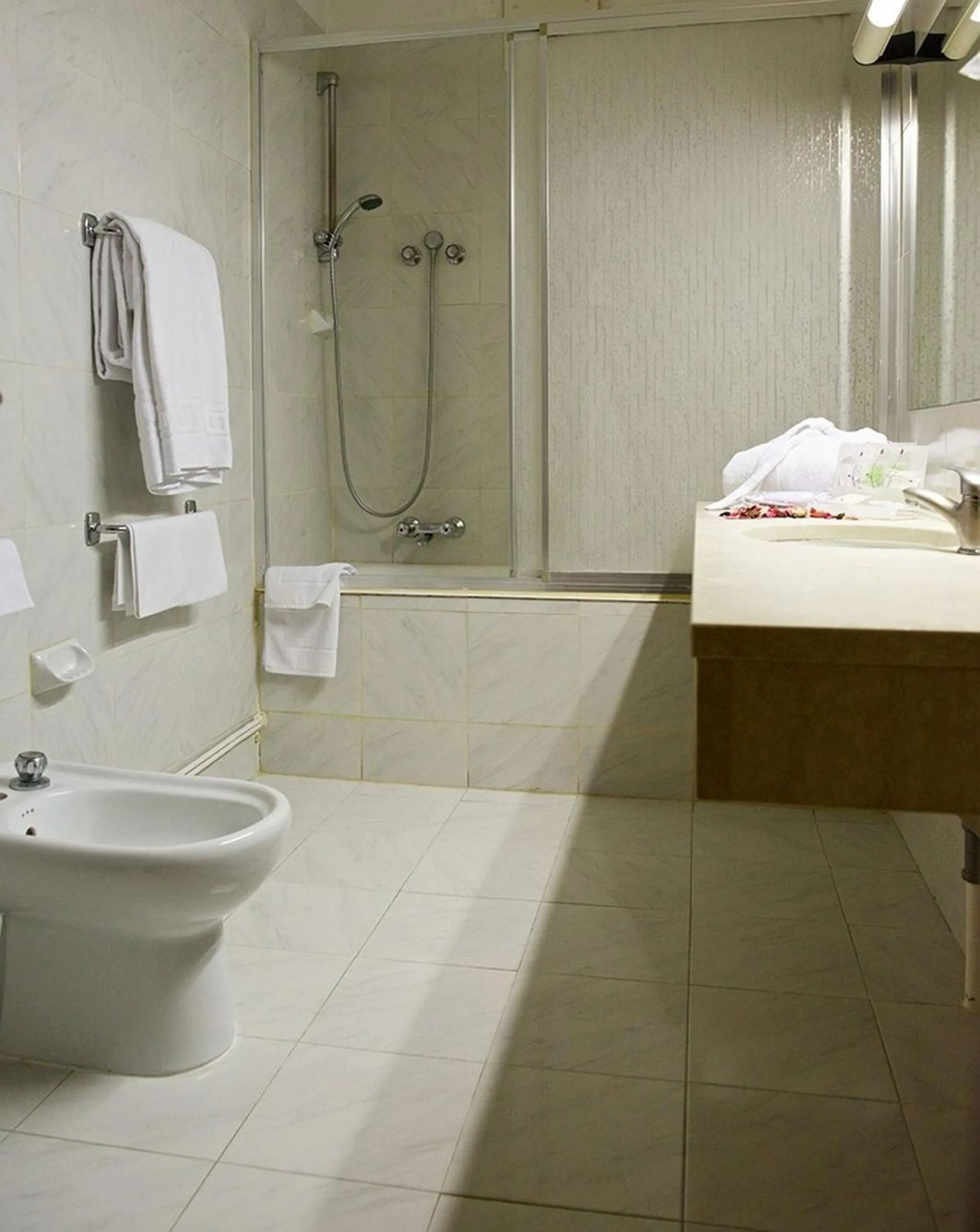 Shower in Hotel Europa