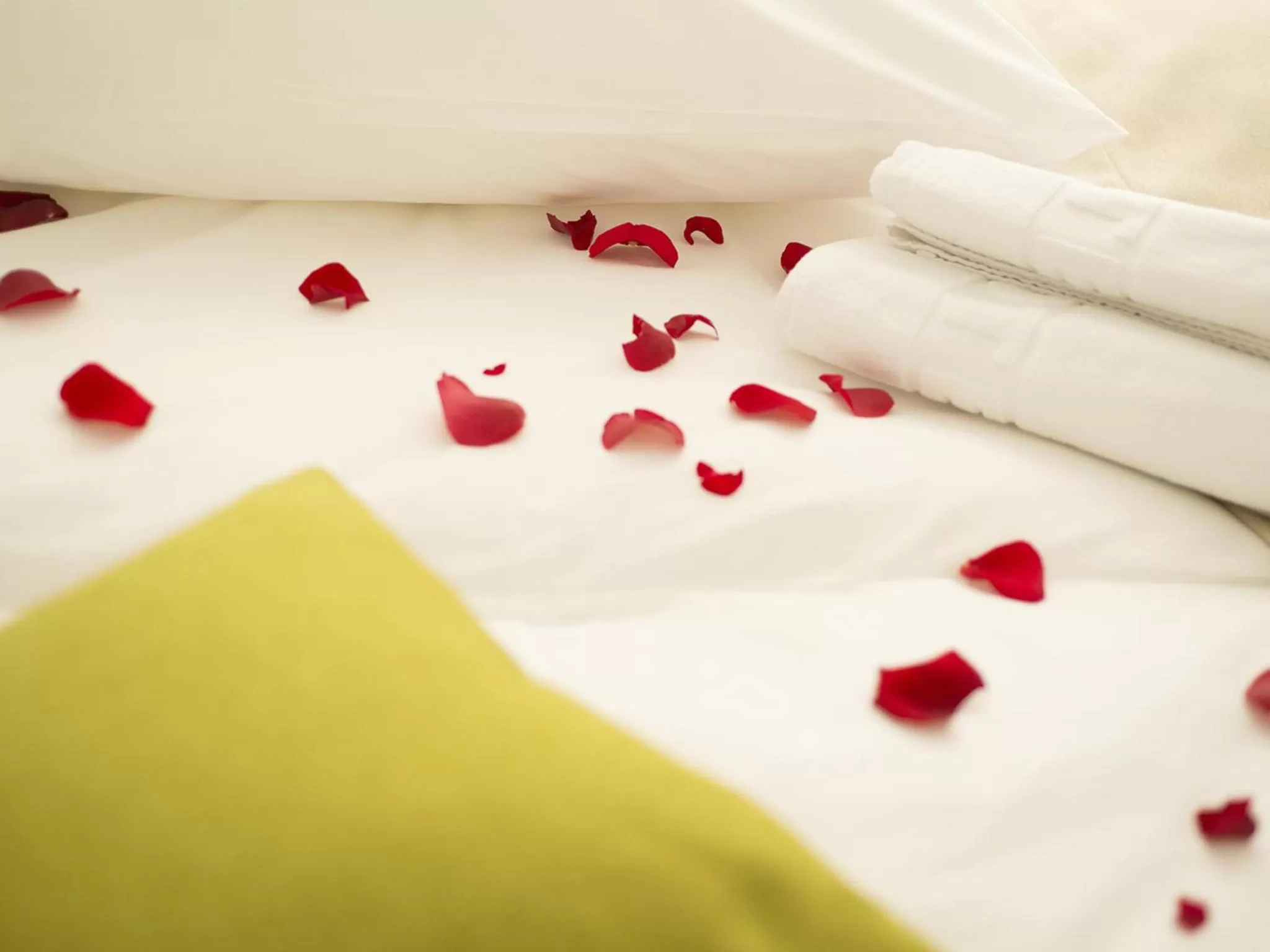 Decorative detail, Bed in Centar Forever