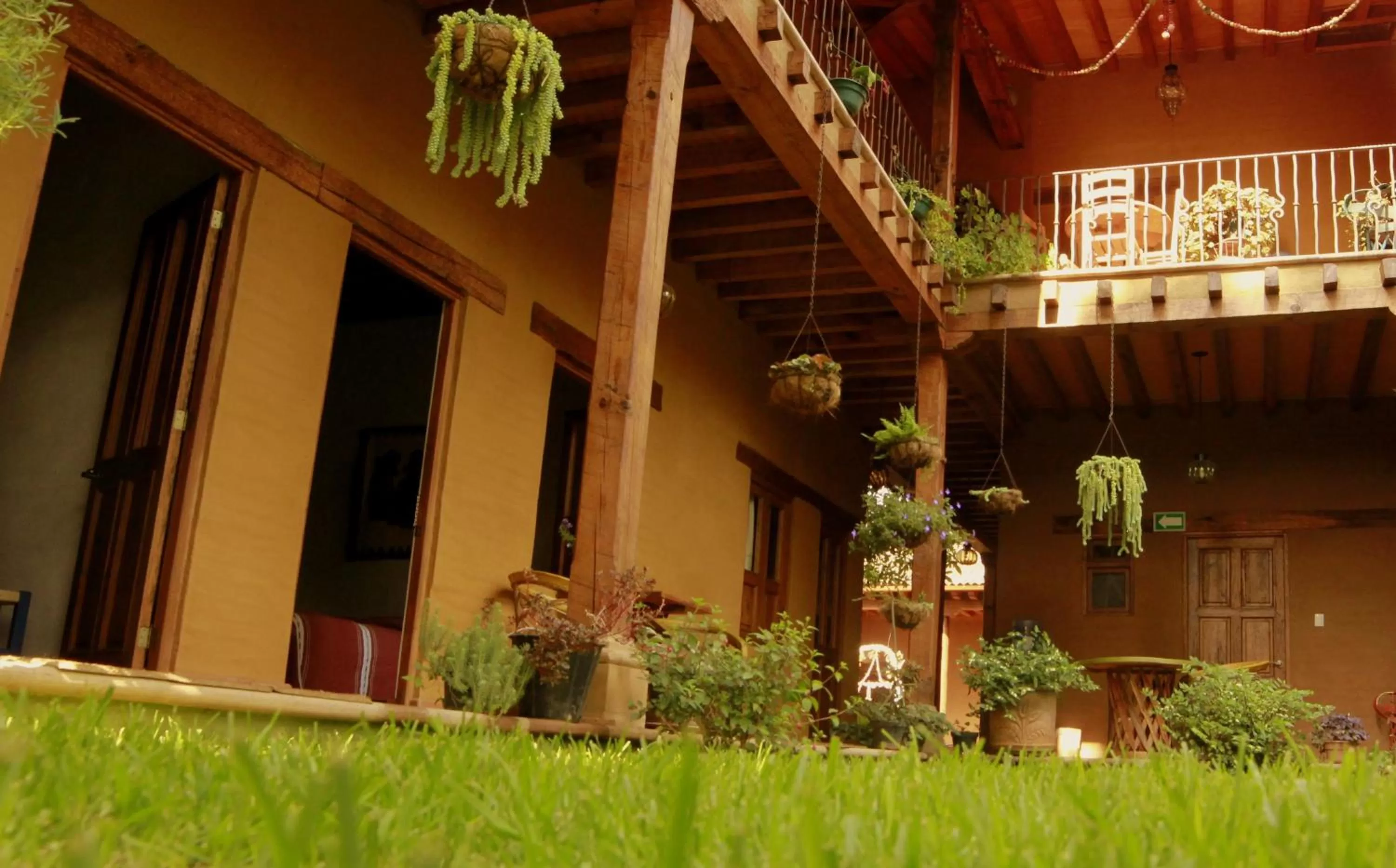 Garden in Posada Yolihuani