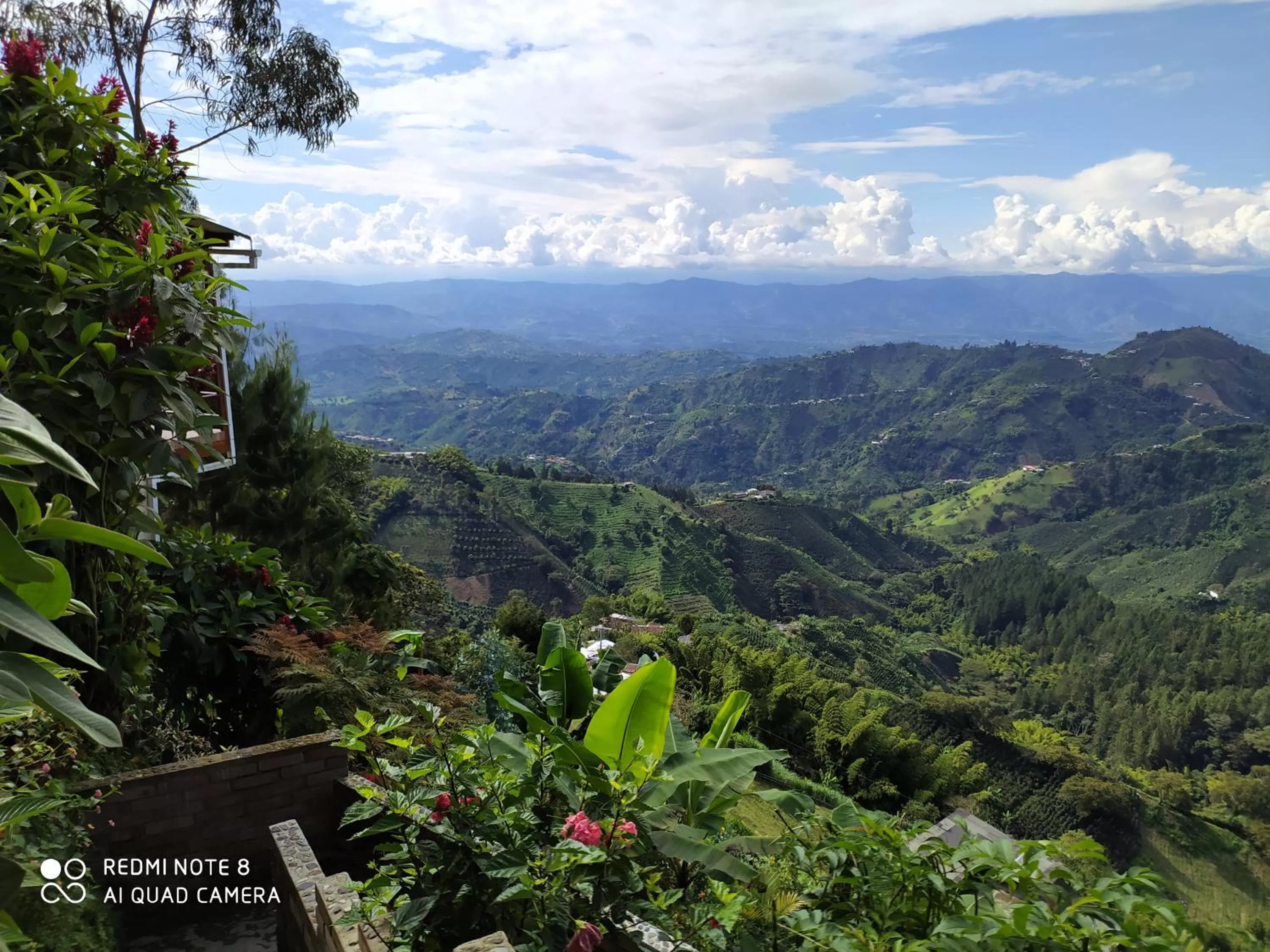 Mirador Finca Morrogacho