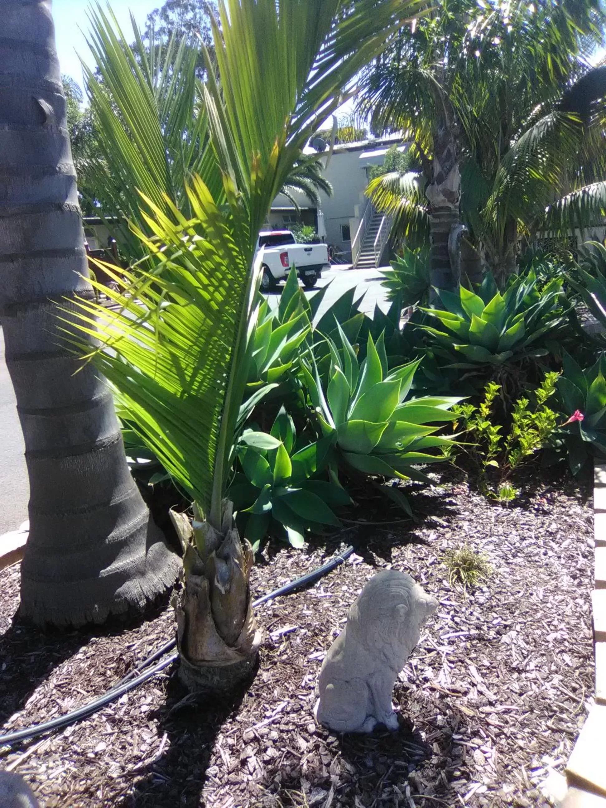 Garden in Seahorse Motel Cowes