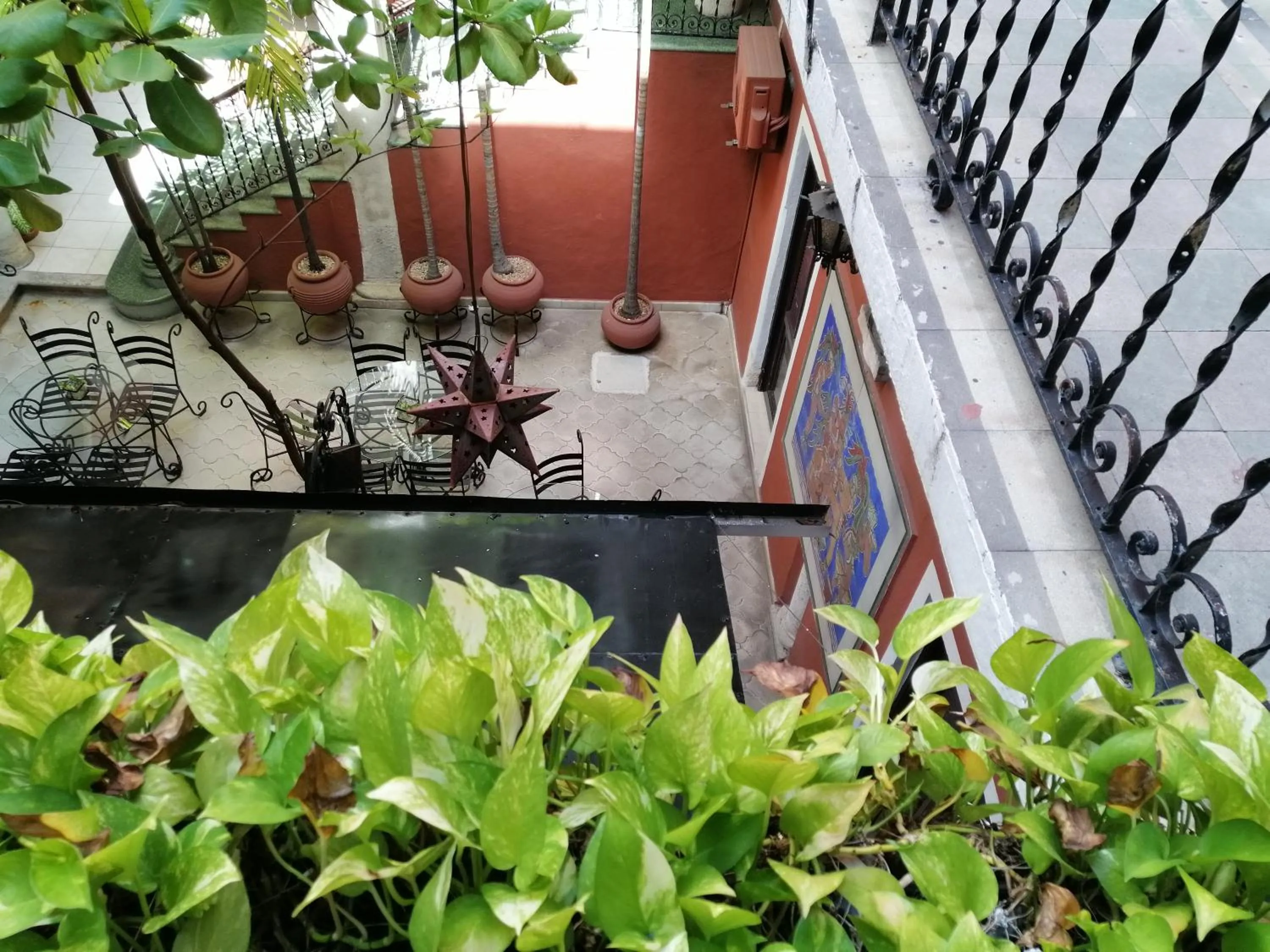 Patio in Hotel Reforma