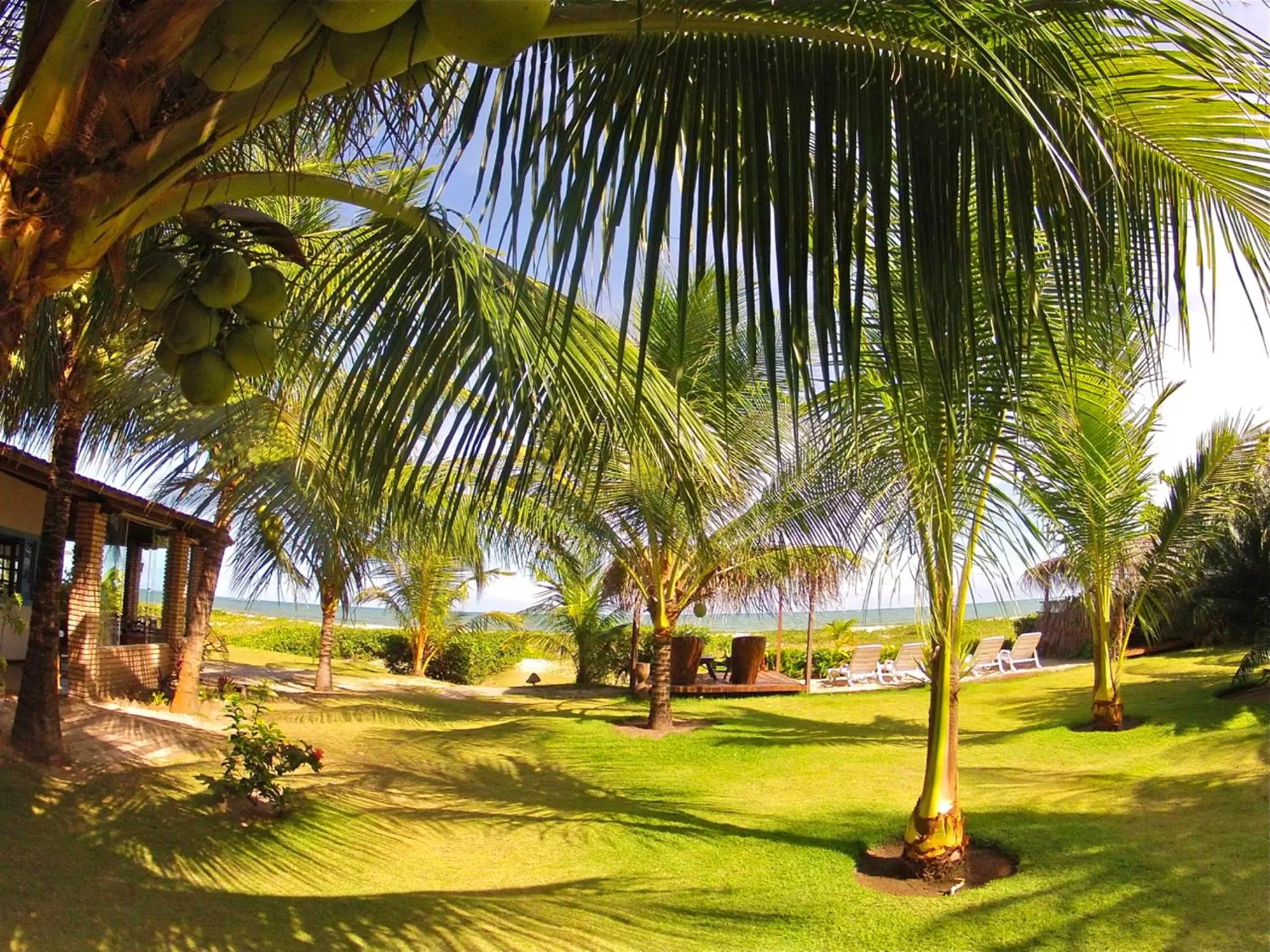 Garden view in Pousada do Sonho