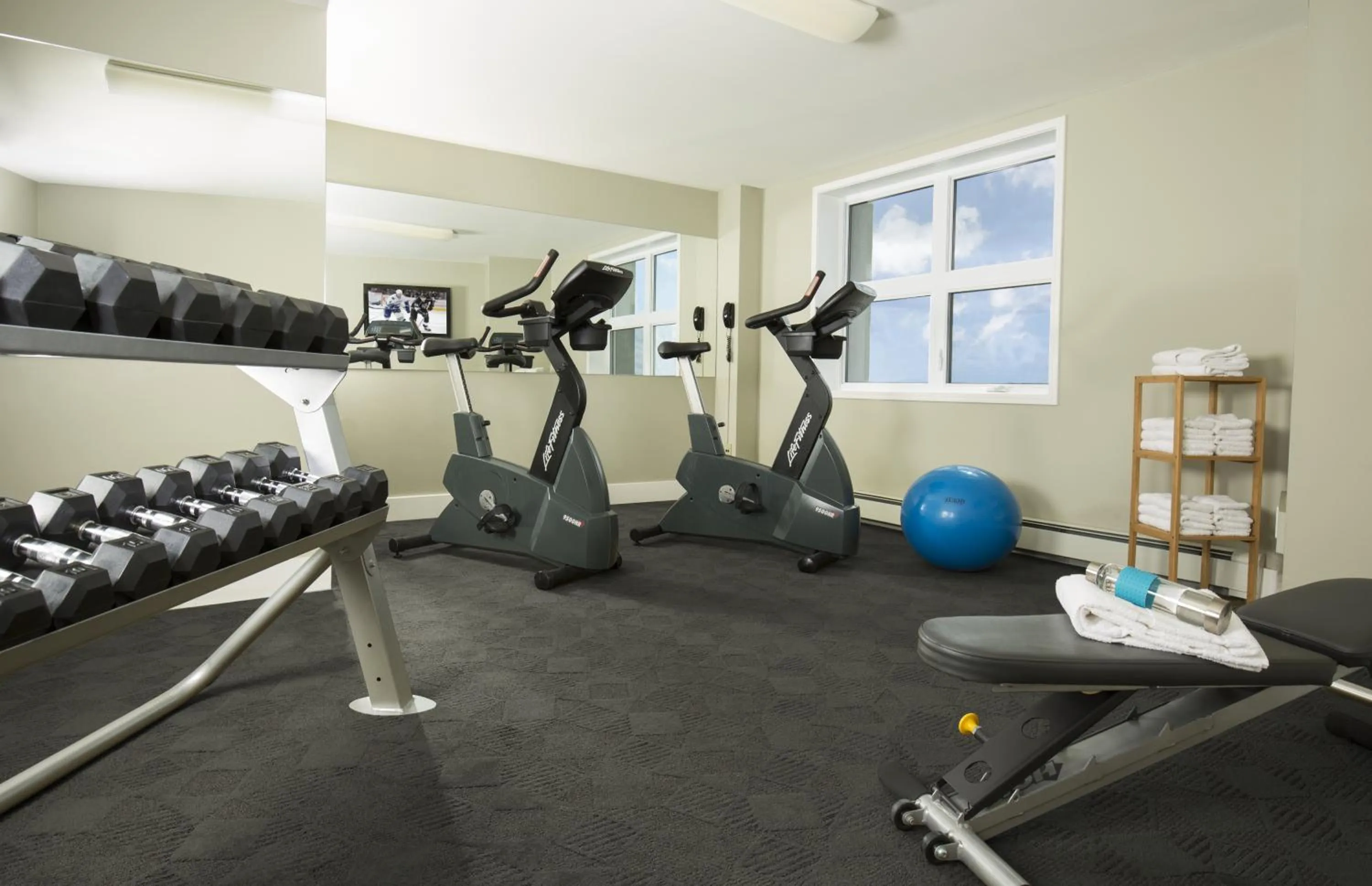 Fitness centre/facilities in Hotel Sepia