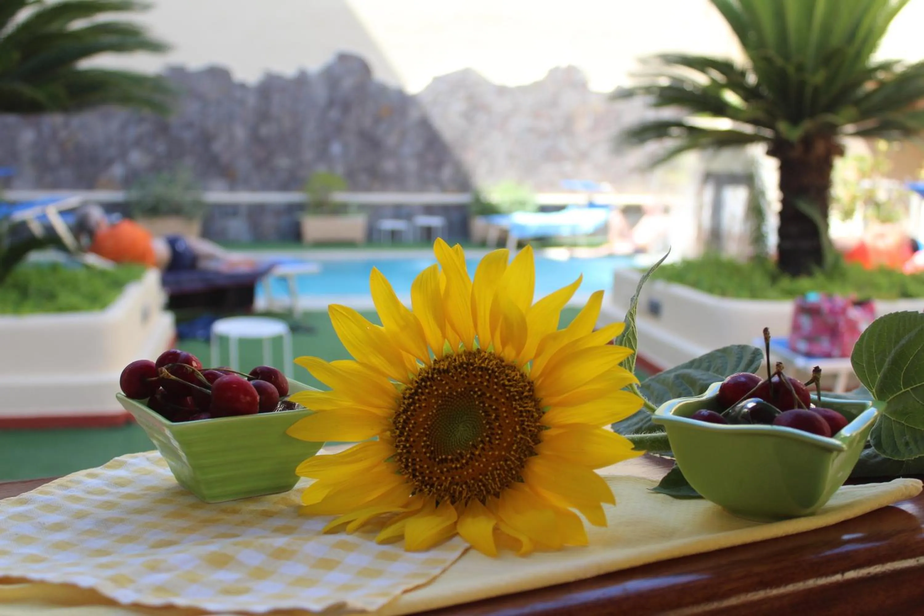 Garden in Hotel La Filadelfia