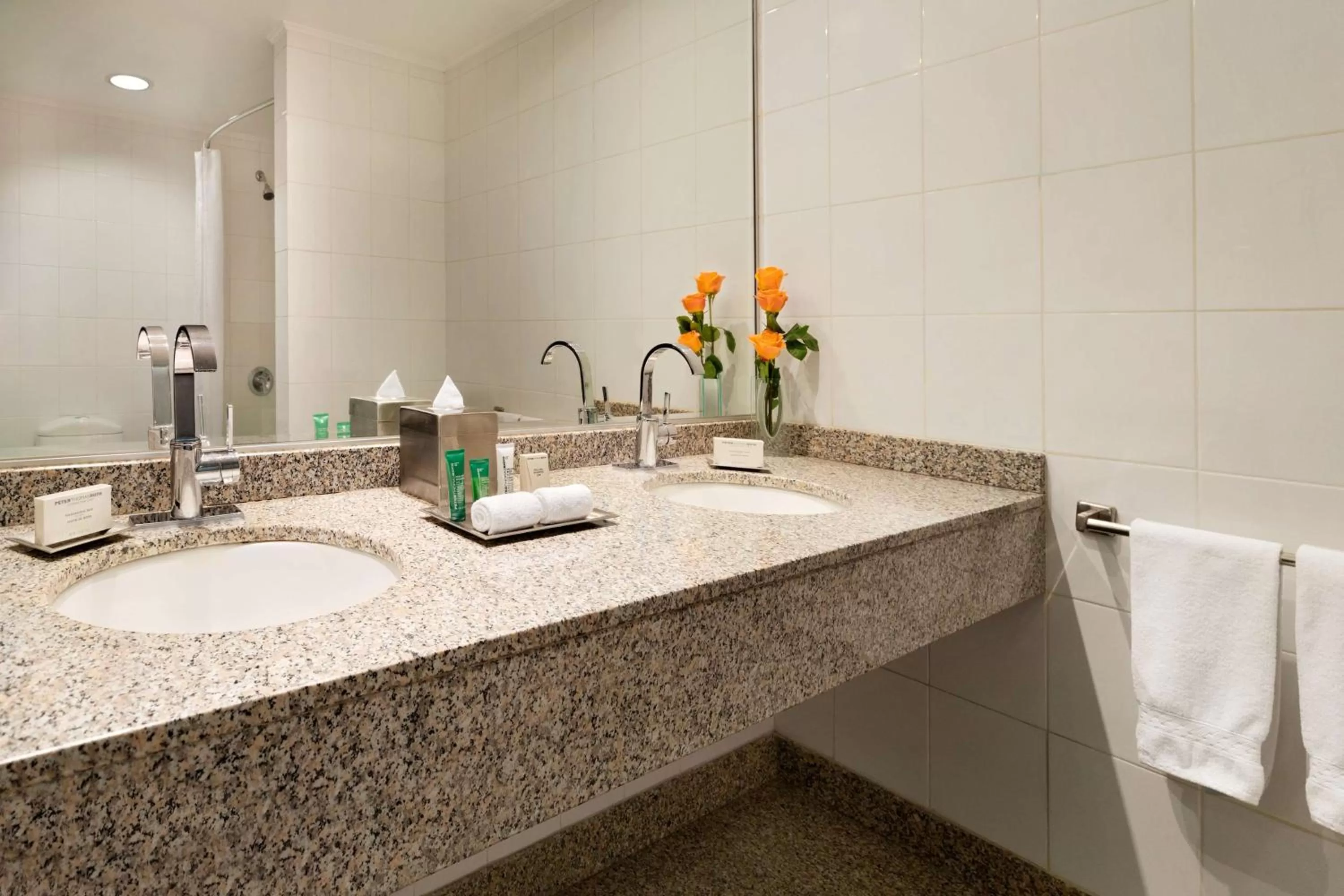 Bathroom in Hilton Colon Quito Hotel