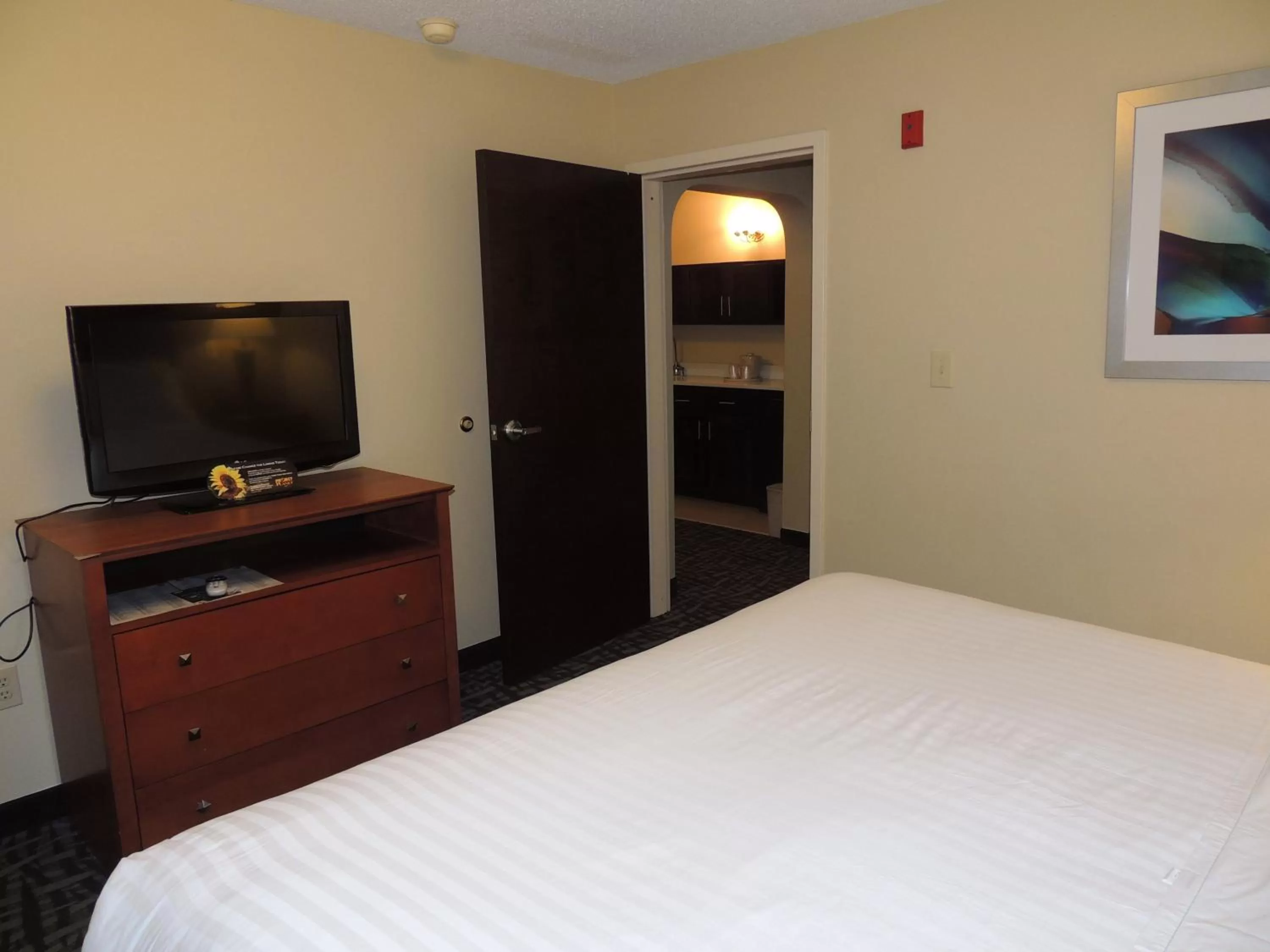 Photo of the whole room, Bed in Holiday Inn Express Trussville by IHG