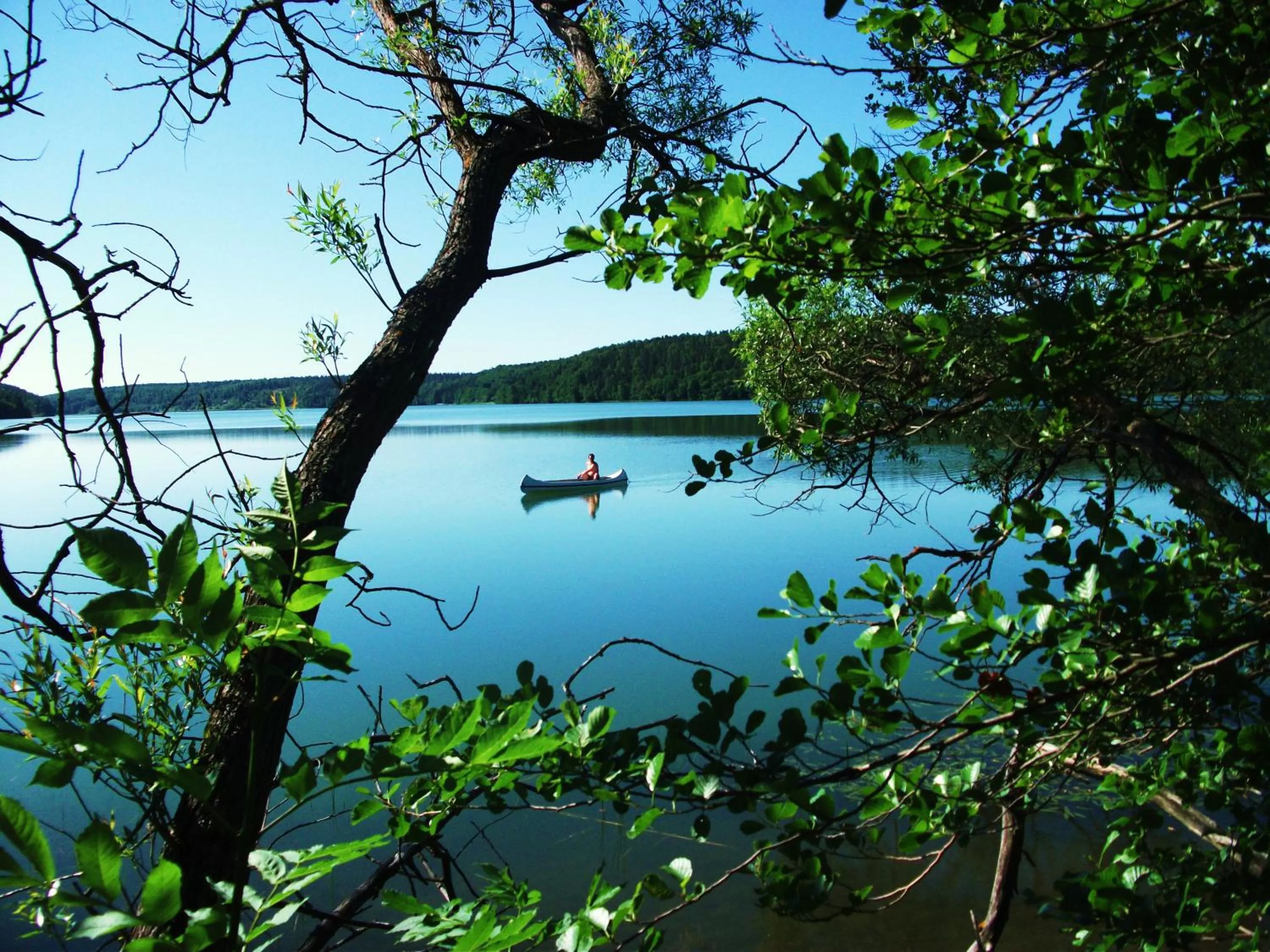 Fishing in Woodstock B&B & Studio Apartments