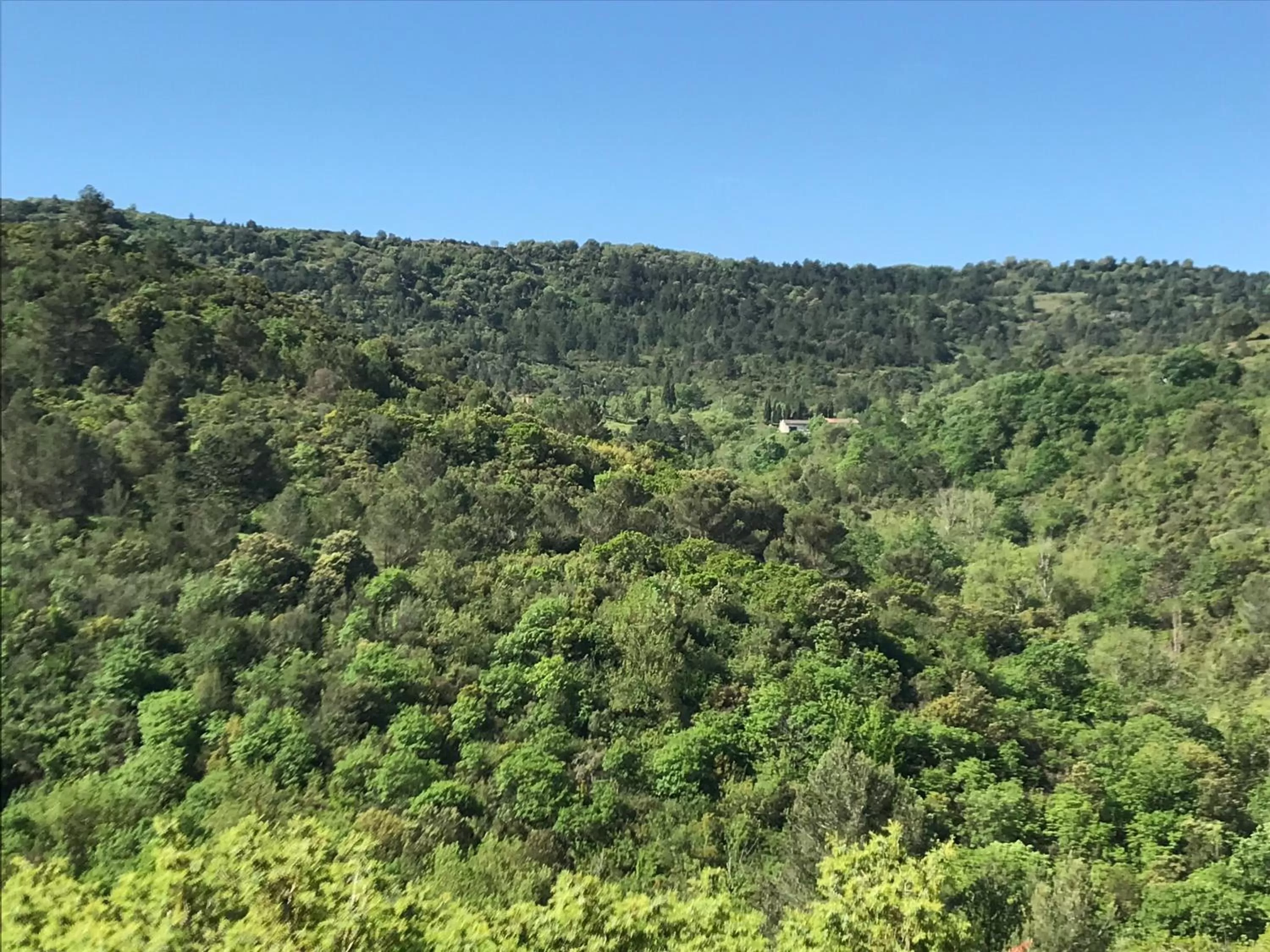 Natural landscape in La Rosela de la Cité
