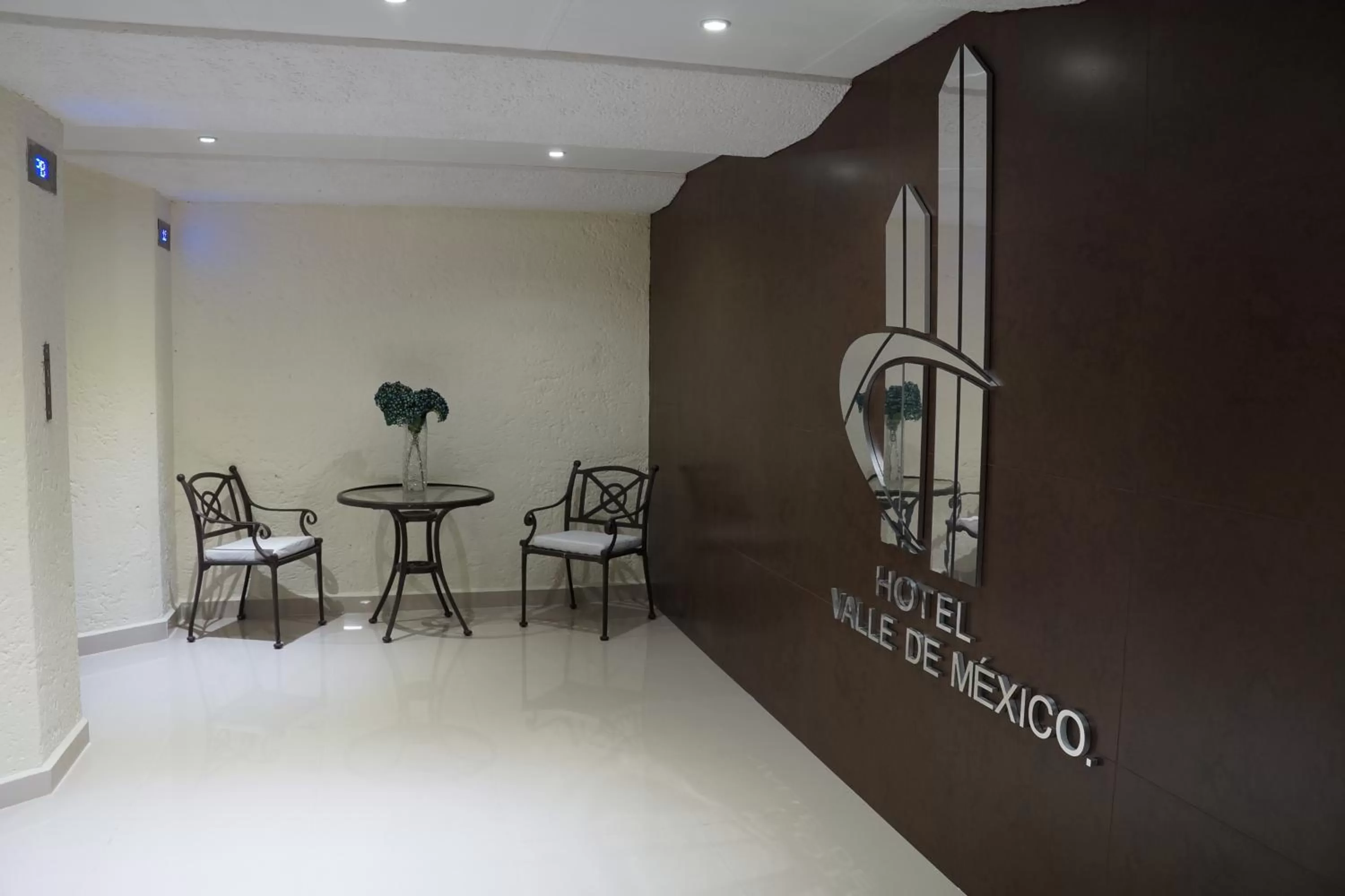 Decorative detail in Hotel Valle de Mexico Toreo