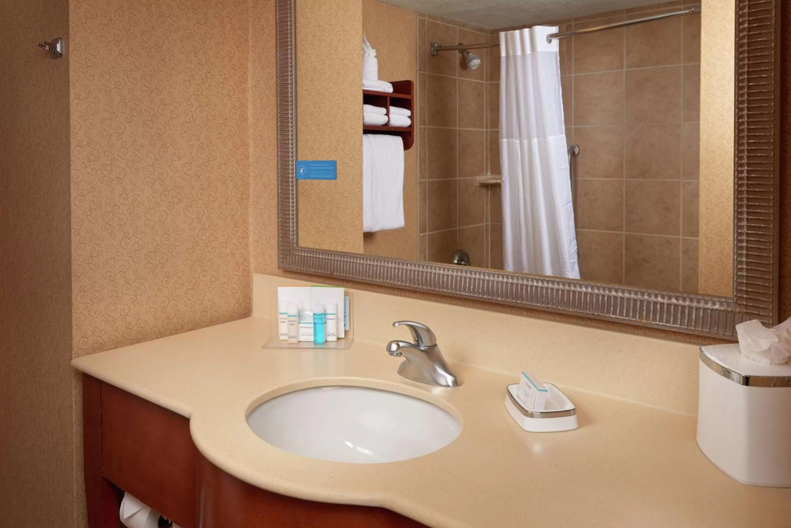 Bathroom in Hampton Inn by Hilton Youngstown-West I-80