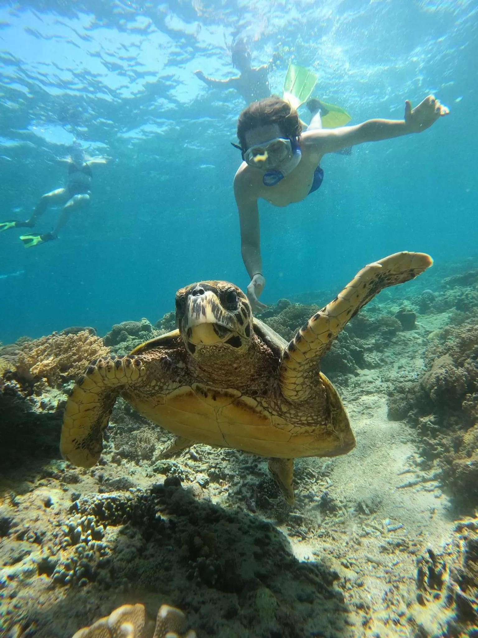 Snorkeling in Gili Meno Mojo Beach Resort