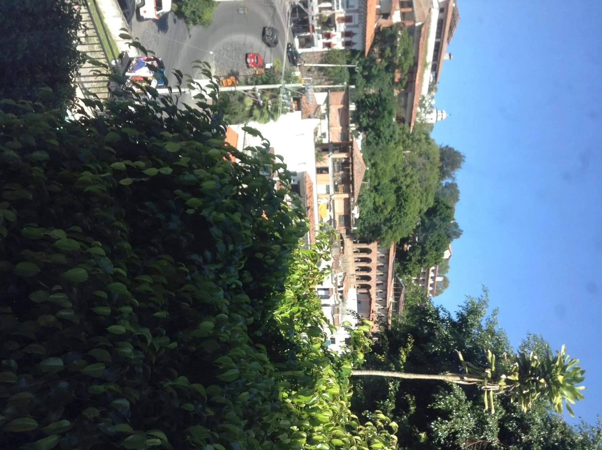 Garden in Hotel Real de San Diego