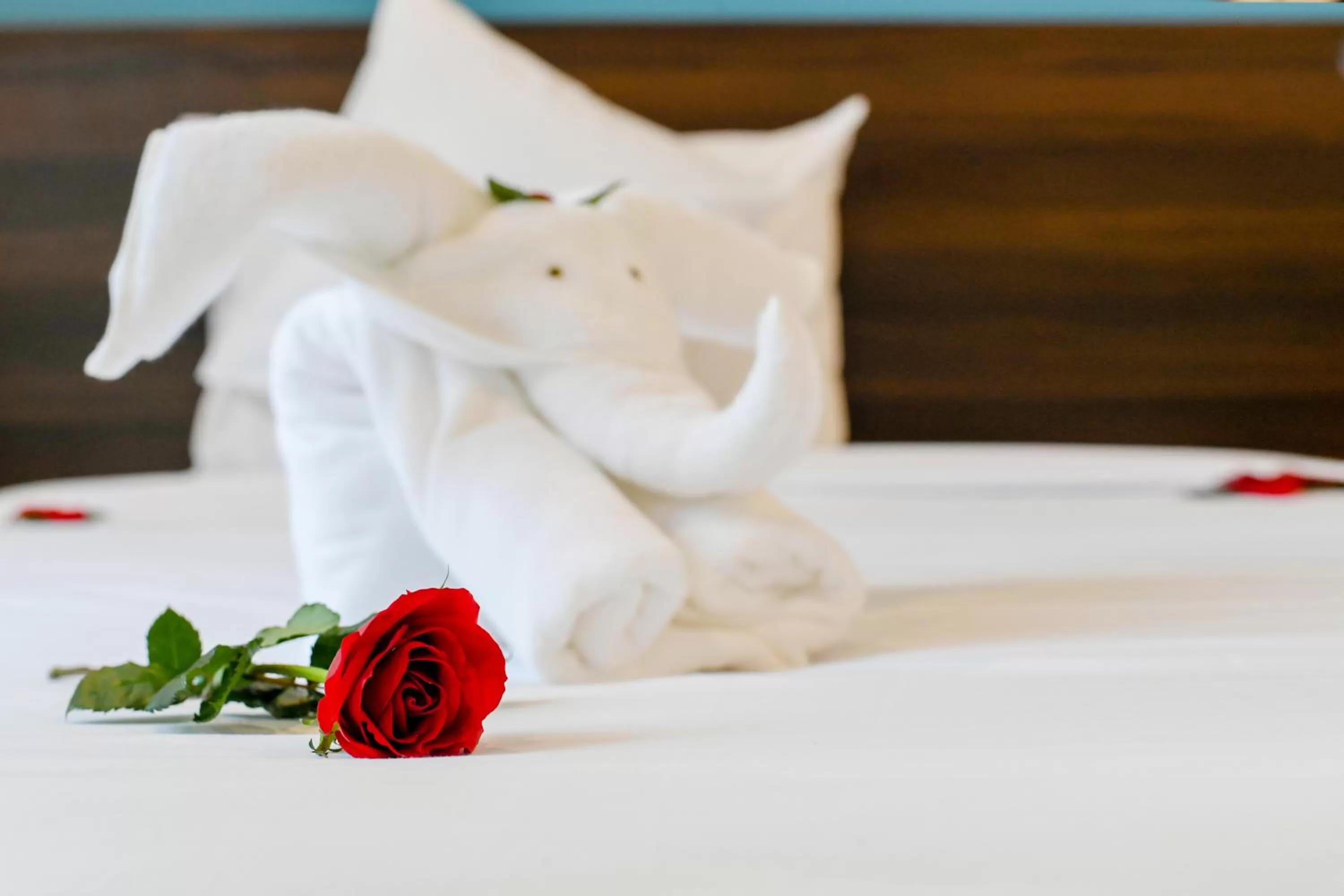 Bed in Hoi An Dream City Hotel