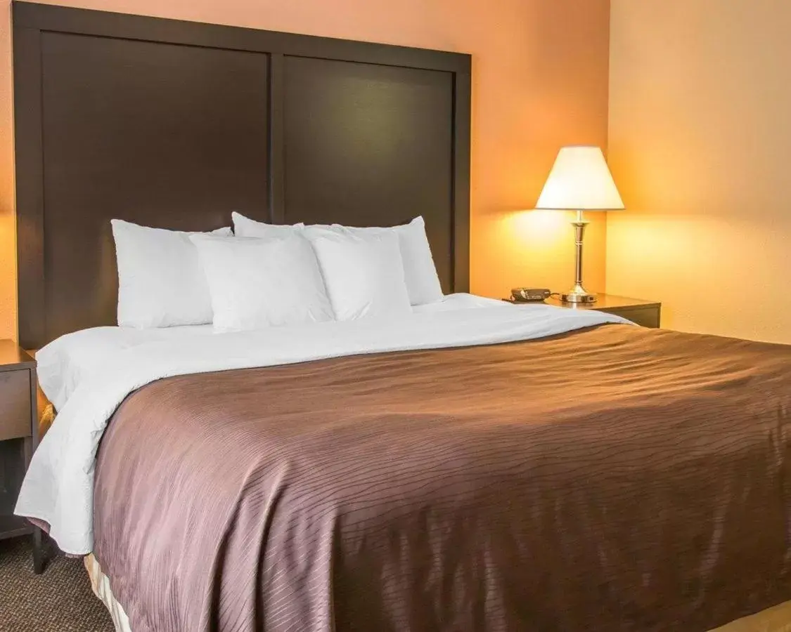 King Room - Non-Smoking in Quality Inn & Suites Niles King Room - Non-Smoking in Quality Inn & Suites Niles