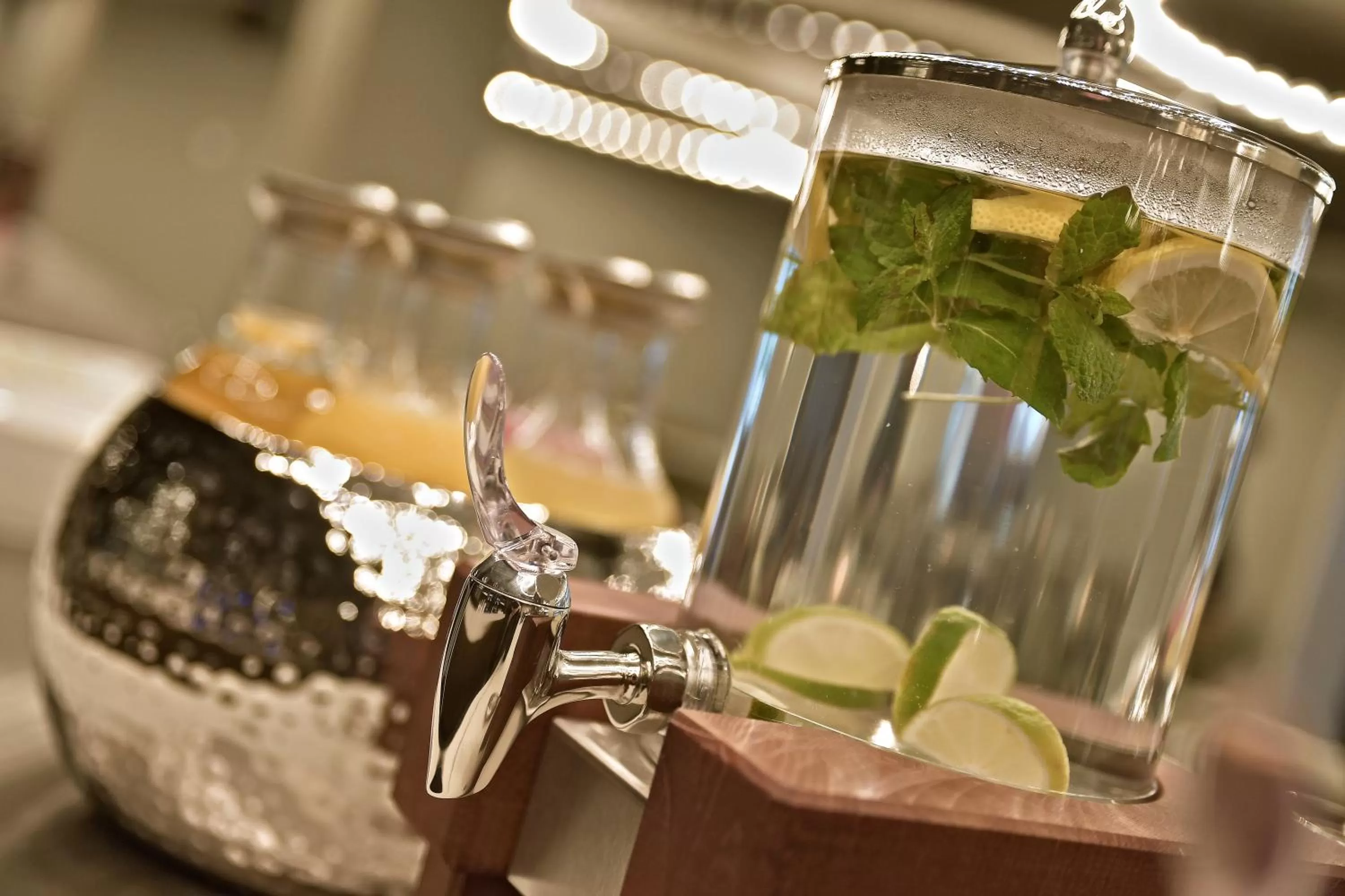 Drinks in Zaan Hotel Amsterdam - Zaandam