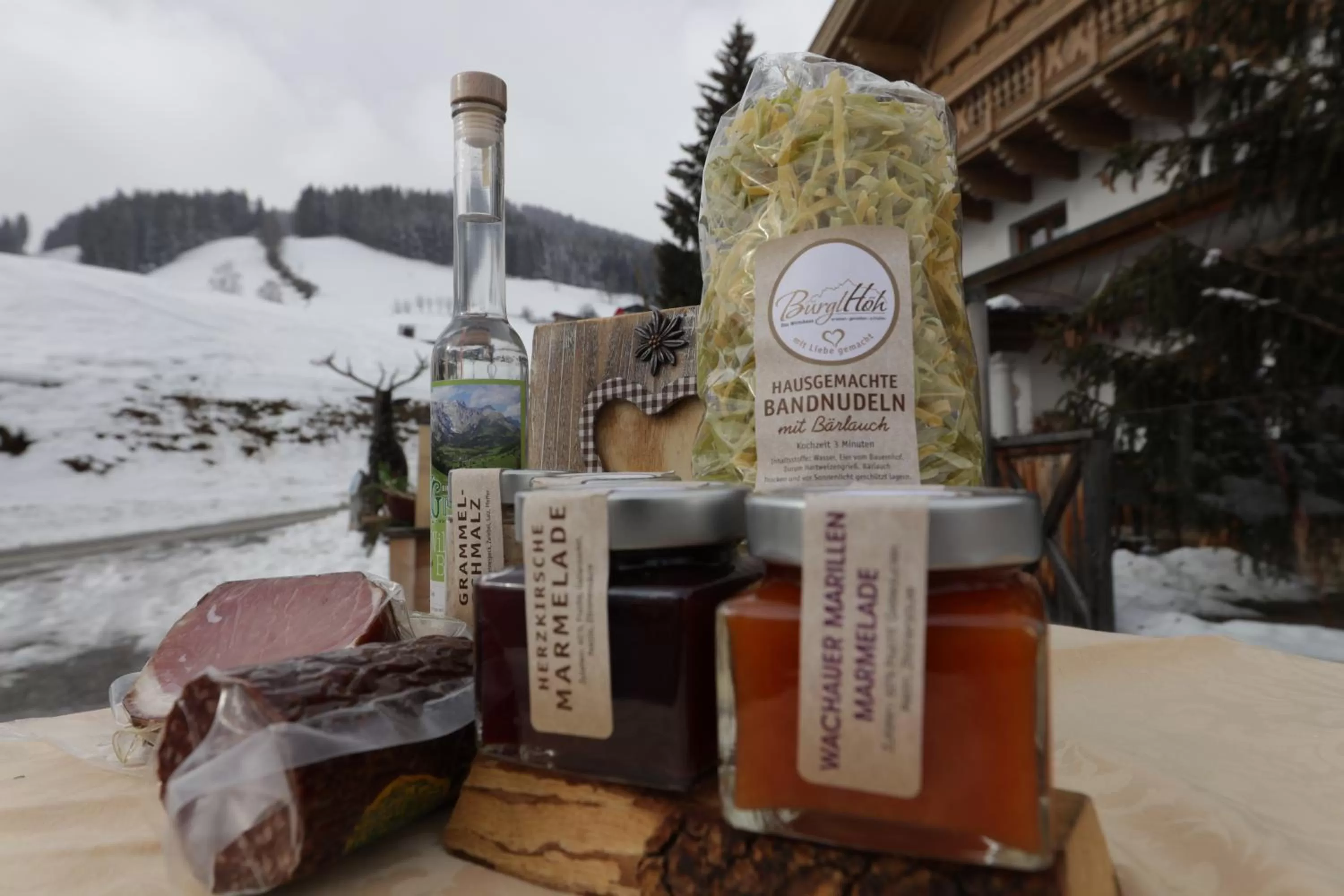 Property logo or sign in Hotel und Alpen Apartments mit Sauna - Bürglhöh