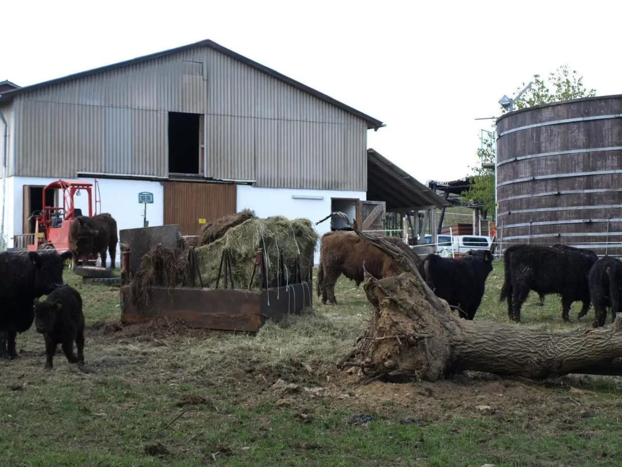 Area and facilities in Beim Rinderwirt