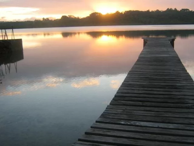 Natural landscape in Seachange Lodge