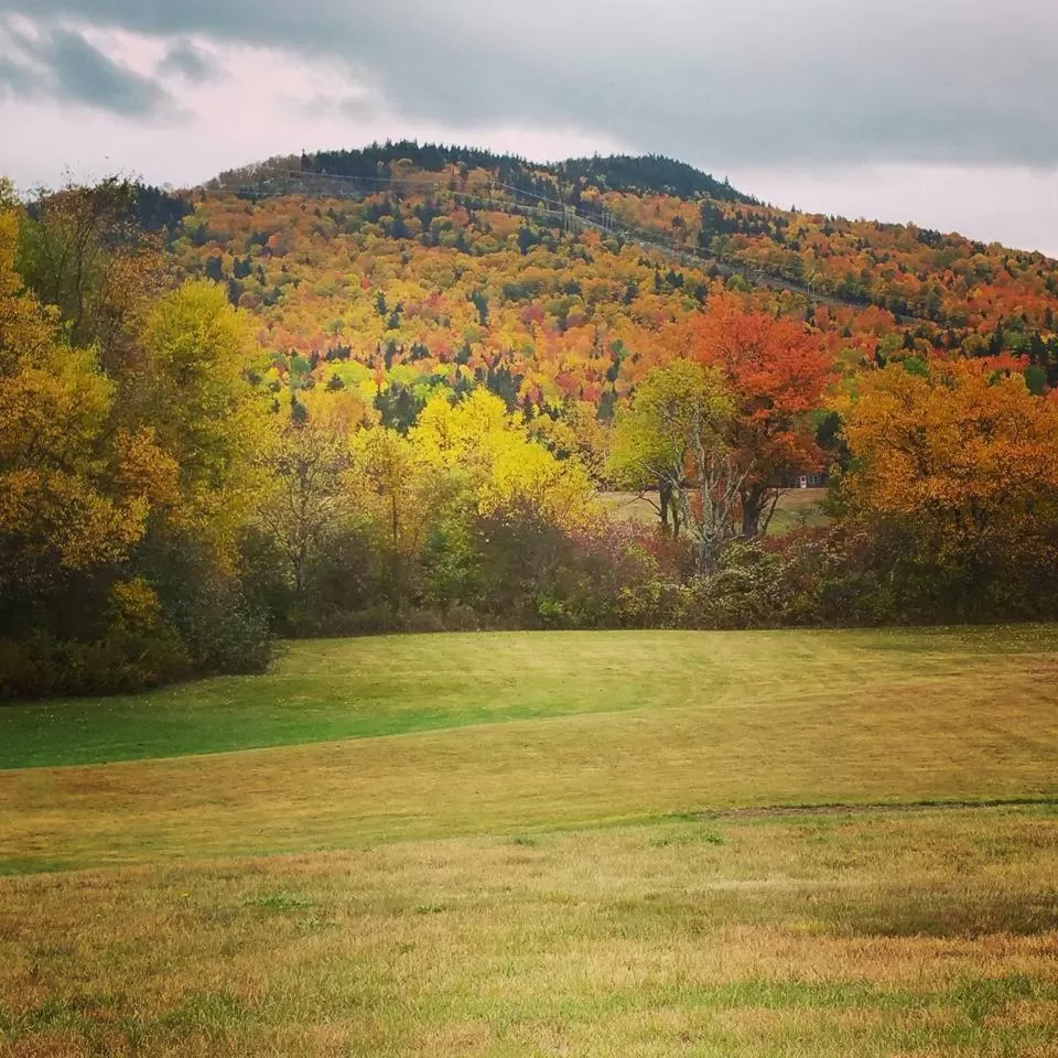 Activities in Spillover Motel and Inn