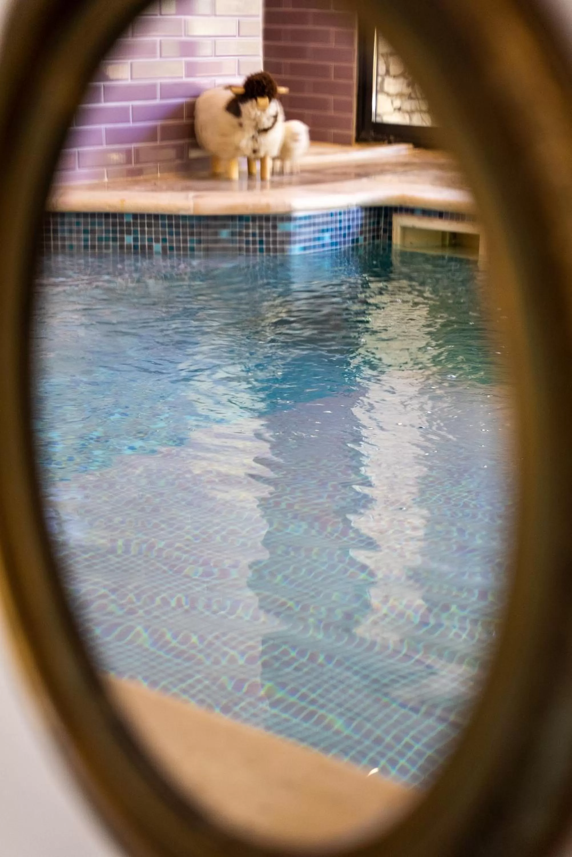 Swimming pool in Le Clos Violette et Le 11 D'Aglaé - Hôtel de Charme Design de Luxe