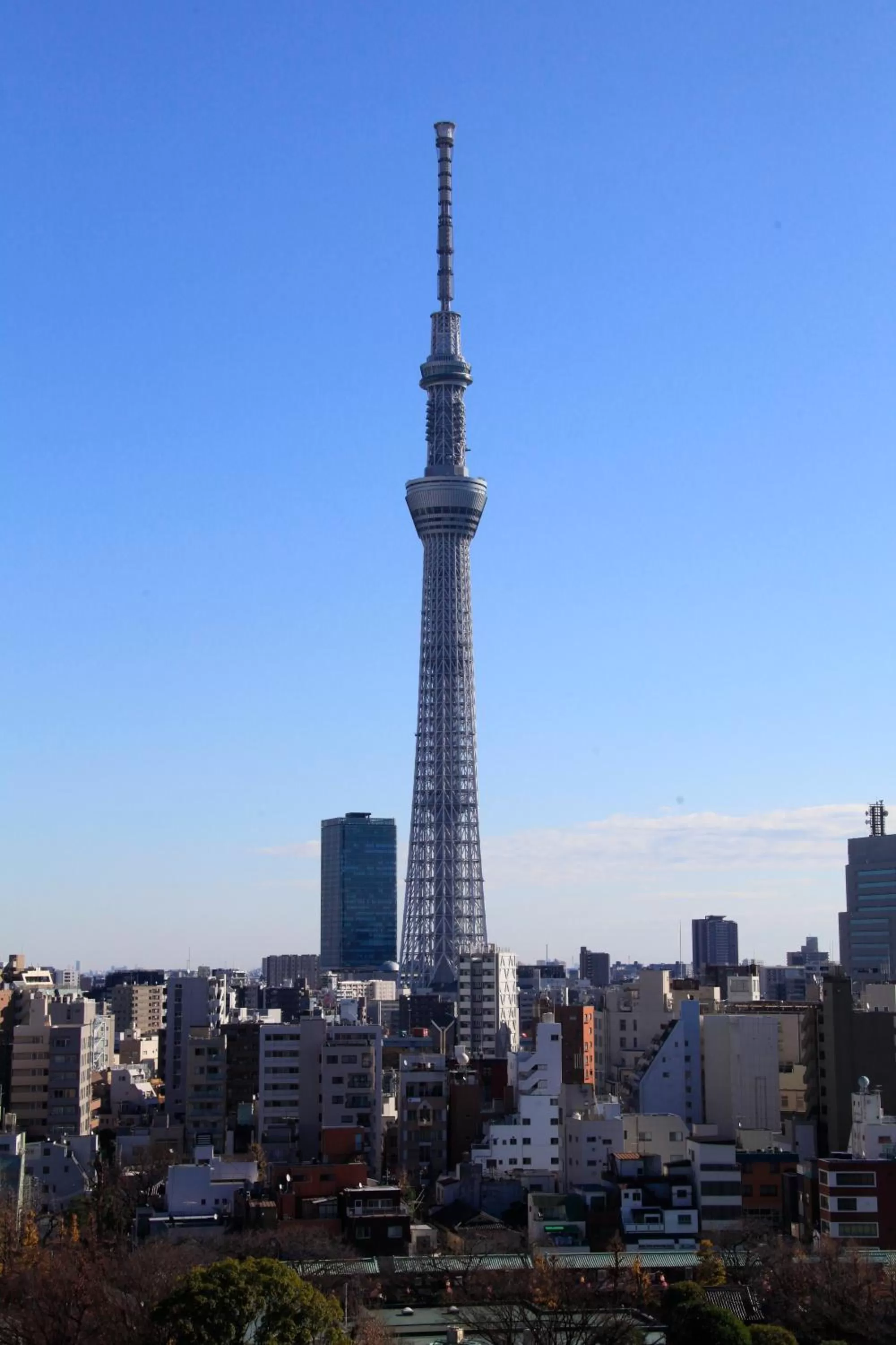 Landmark view in Richmond Hotel Premier Asakusa International