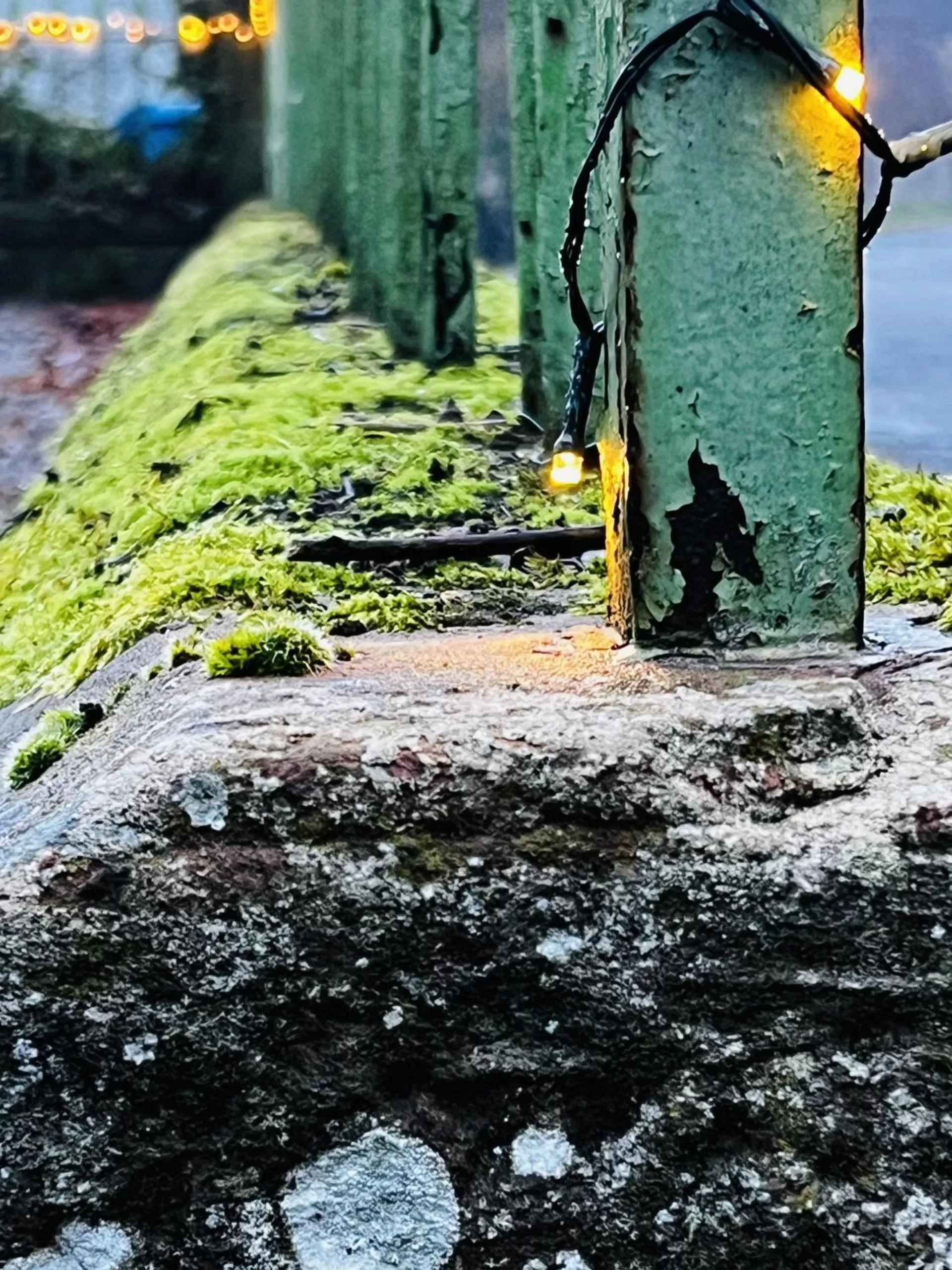 Property building in St Duthus Villa Guesthouse