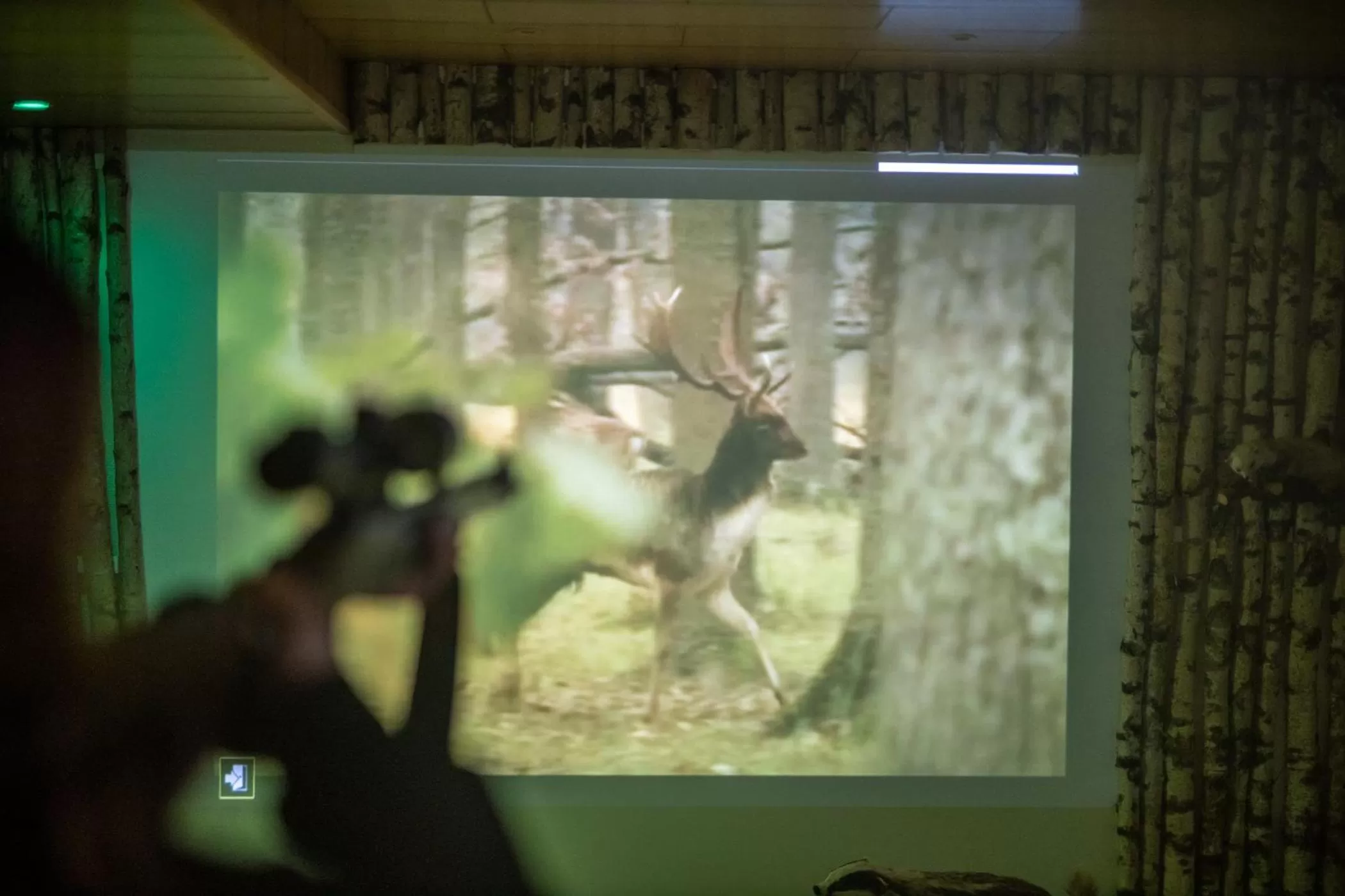 Entertainment in Hotel & Restaurant Zum Reussenstein