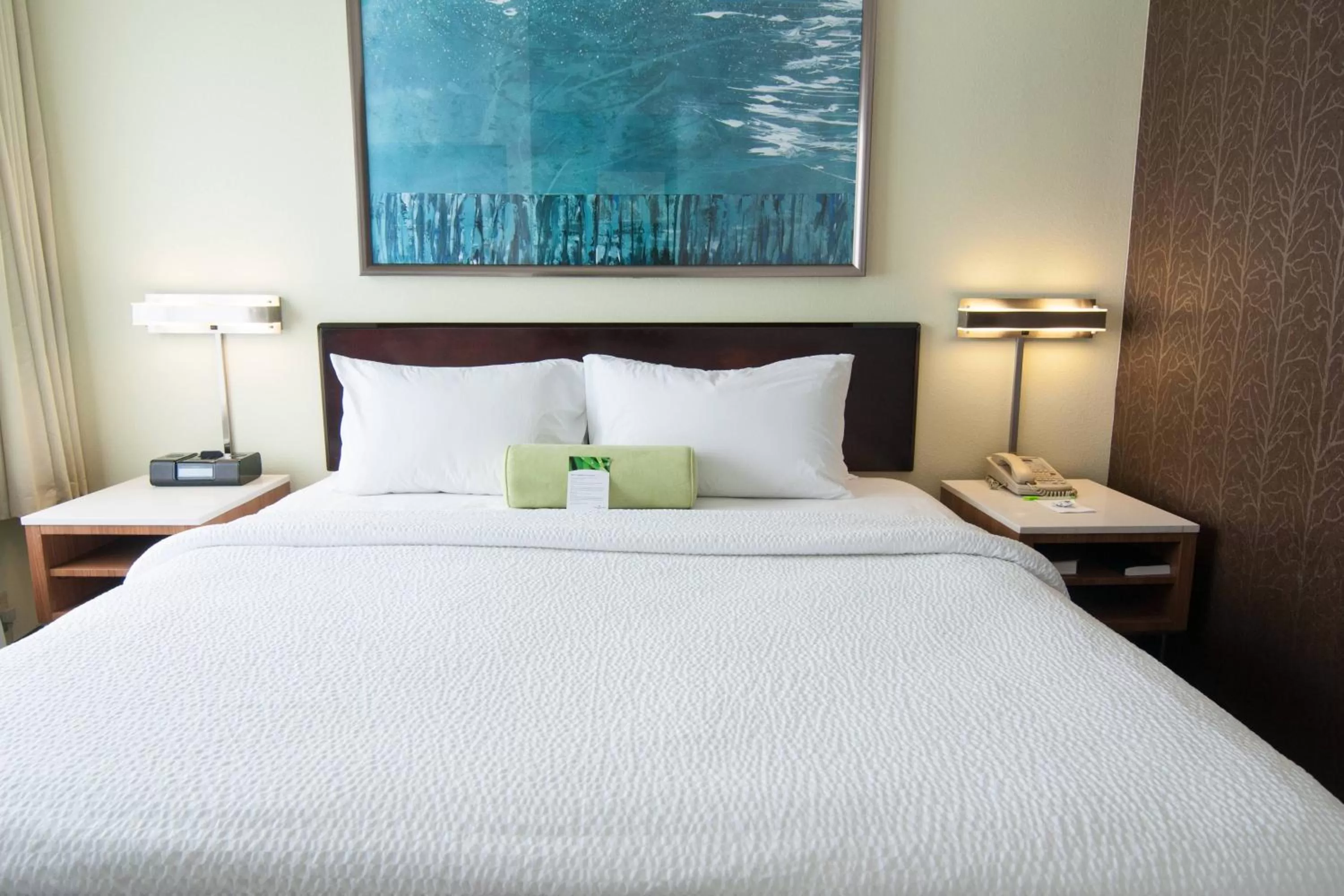 King Studio with Sofa Bed - Hearing Accessible in SpringHill Suites Pittsburgh Monroeville