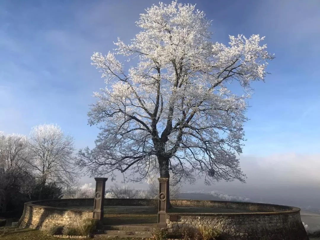 Natural landscape in Casa Bella