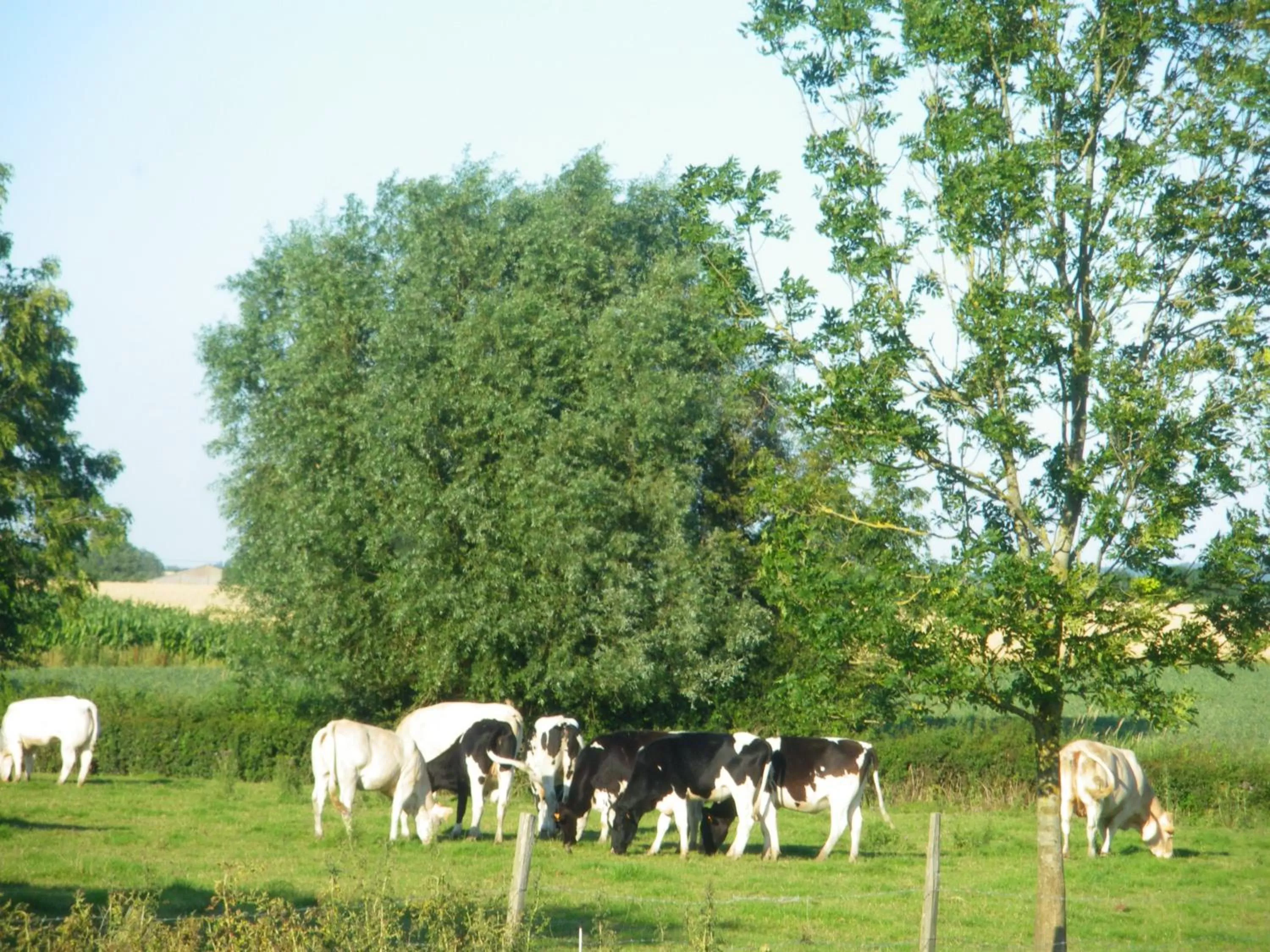 La Vallée des Trois Monts
