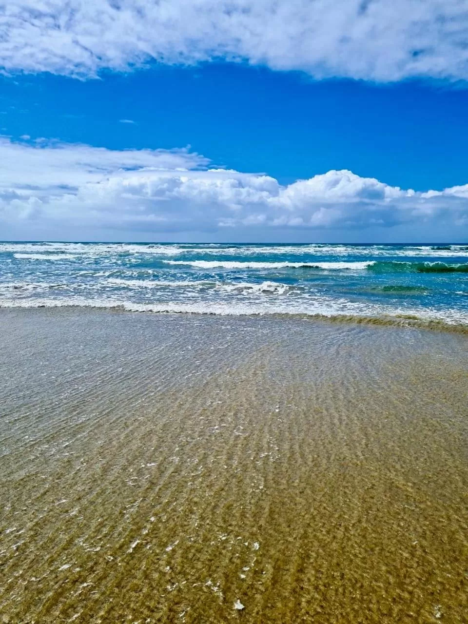 Natural landscape in Pousada dos Sambaquis