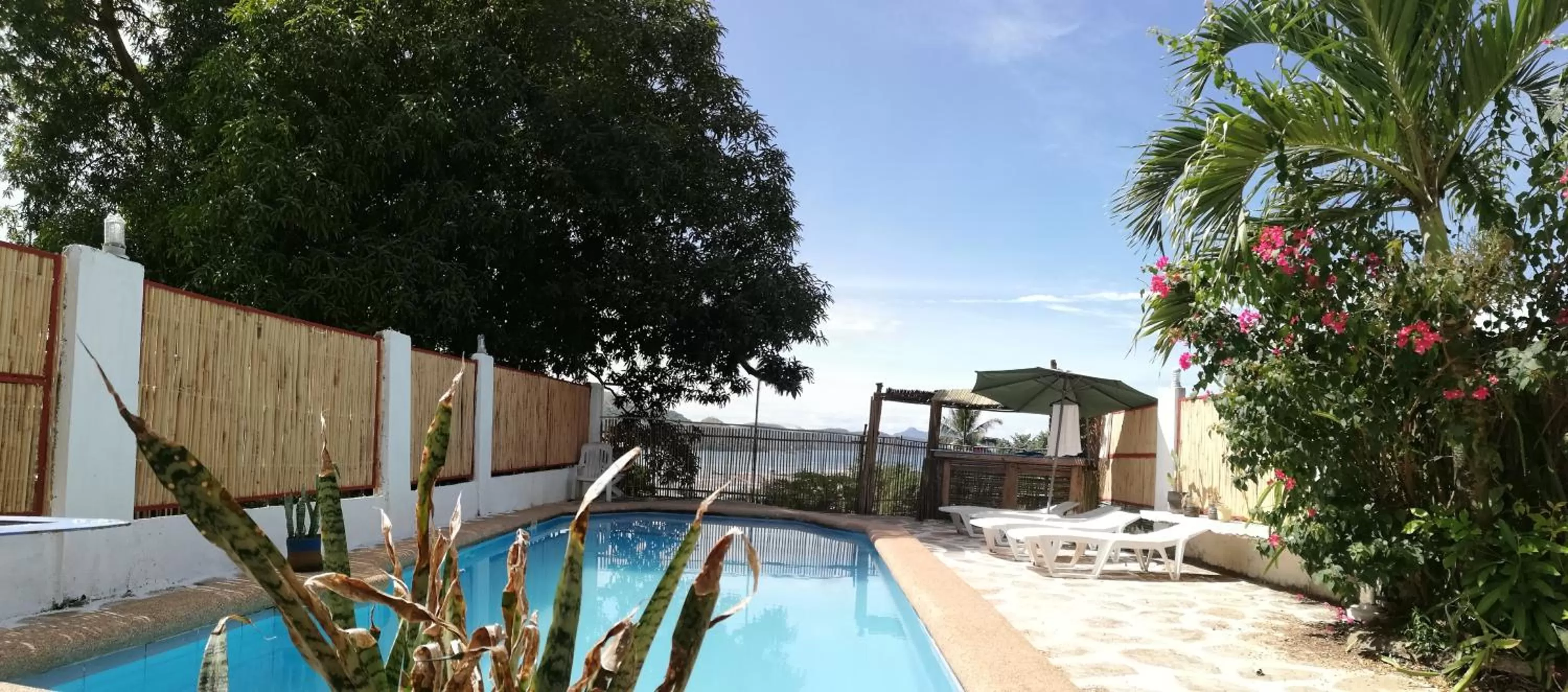 Pool view in Casa Montemar Bed and Breakfast