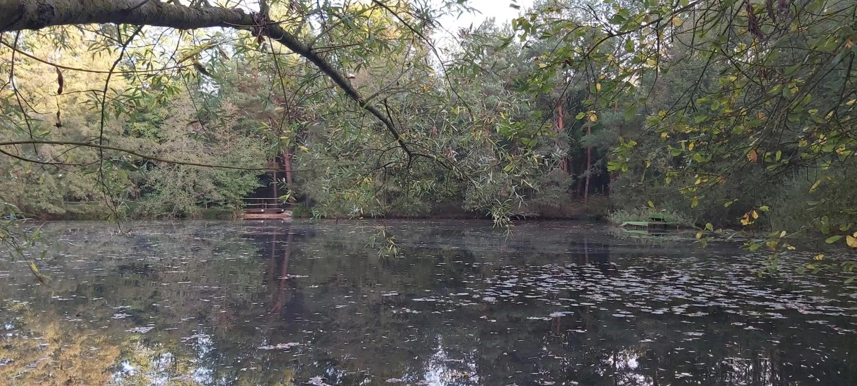 Les Roulottes des Ris