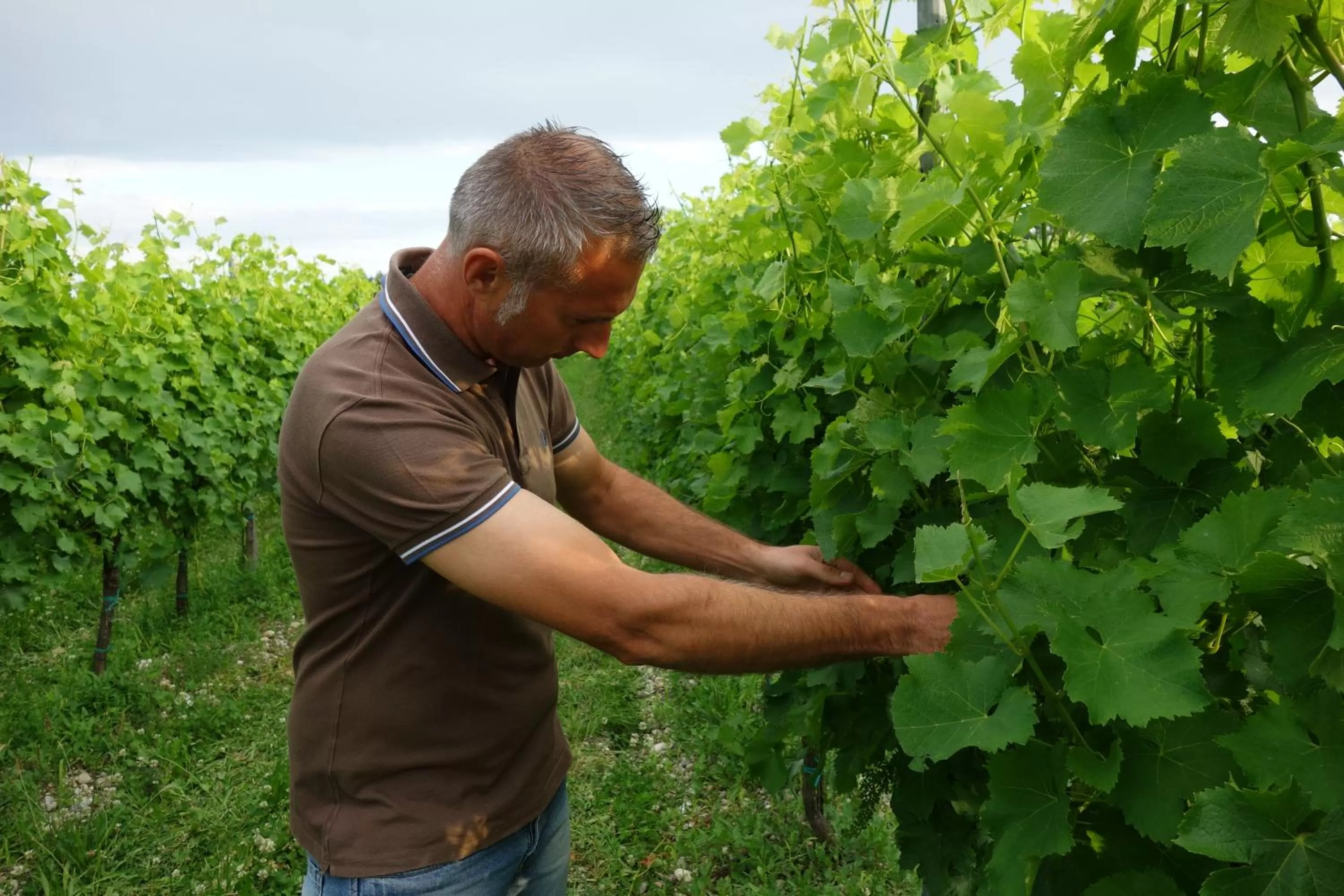 Staff in Agriturismo Le Giarine