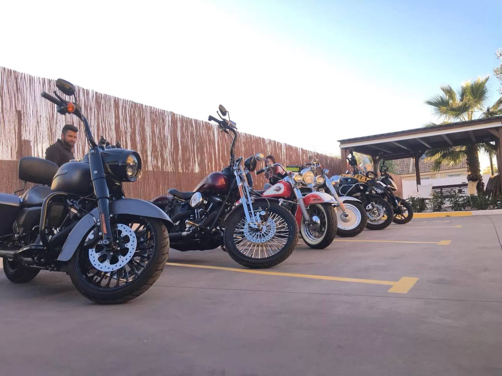 Activities in Hotel Vista al Sol