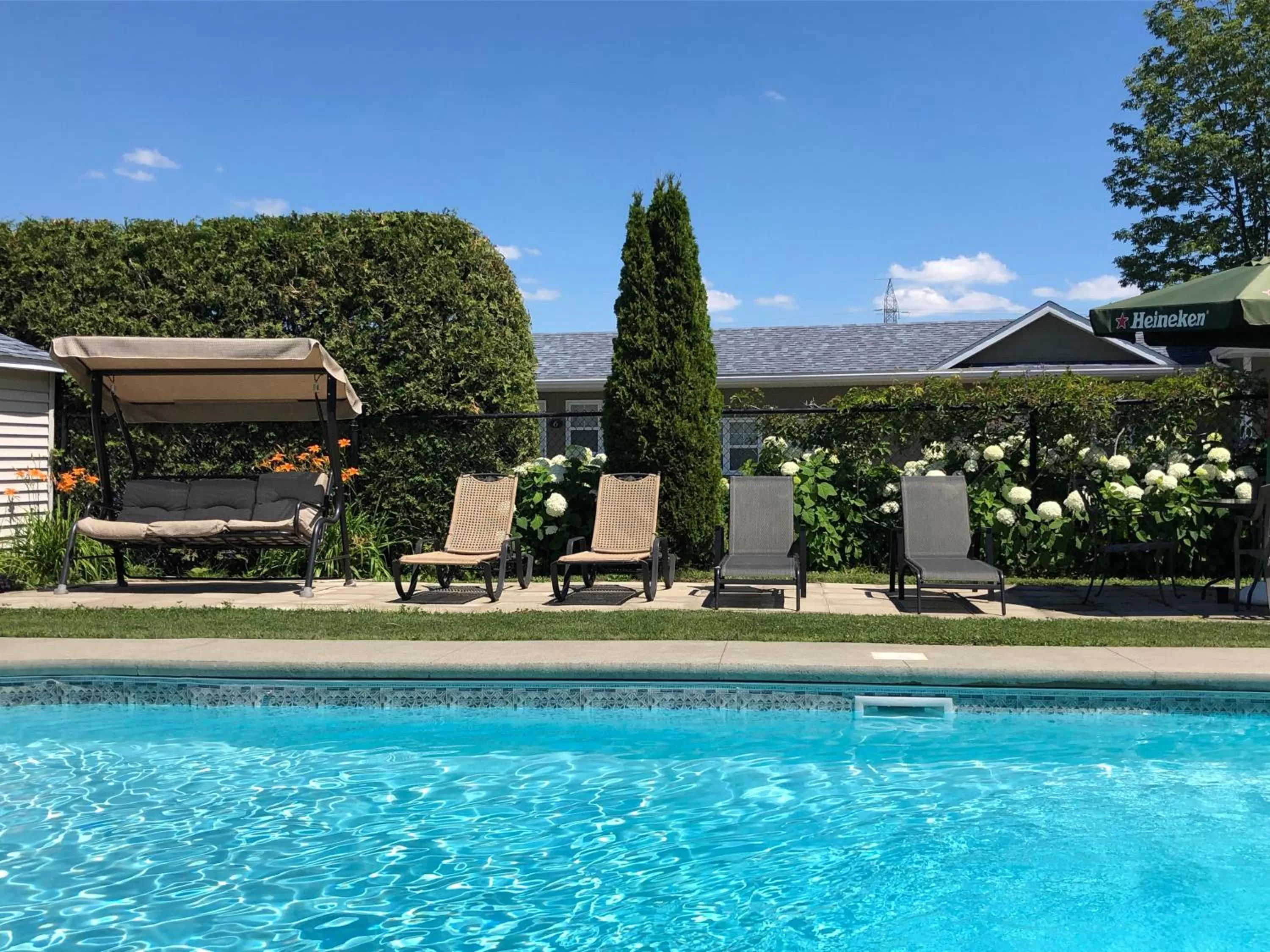 Swimming pool in Motel des Cèdres